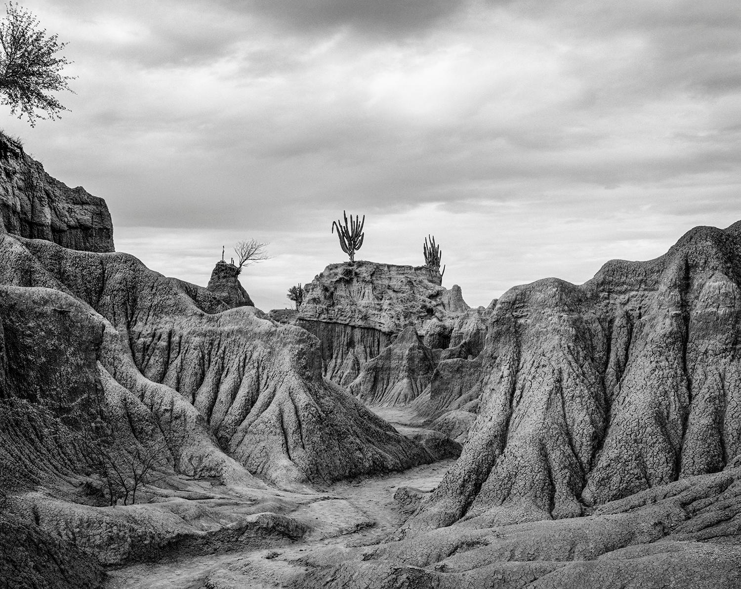 Miguel Winograd  Black and White Photograph – Tatacoa II, Pigmentdrucke