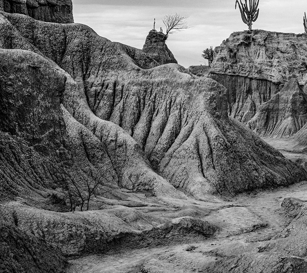 Tatacoa II, Pigmentdrucke (Naturalismus), Photograph, von Miguel Winograd 