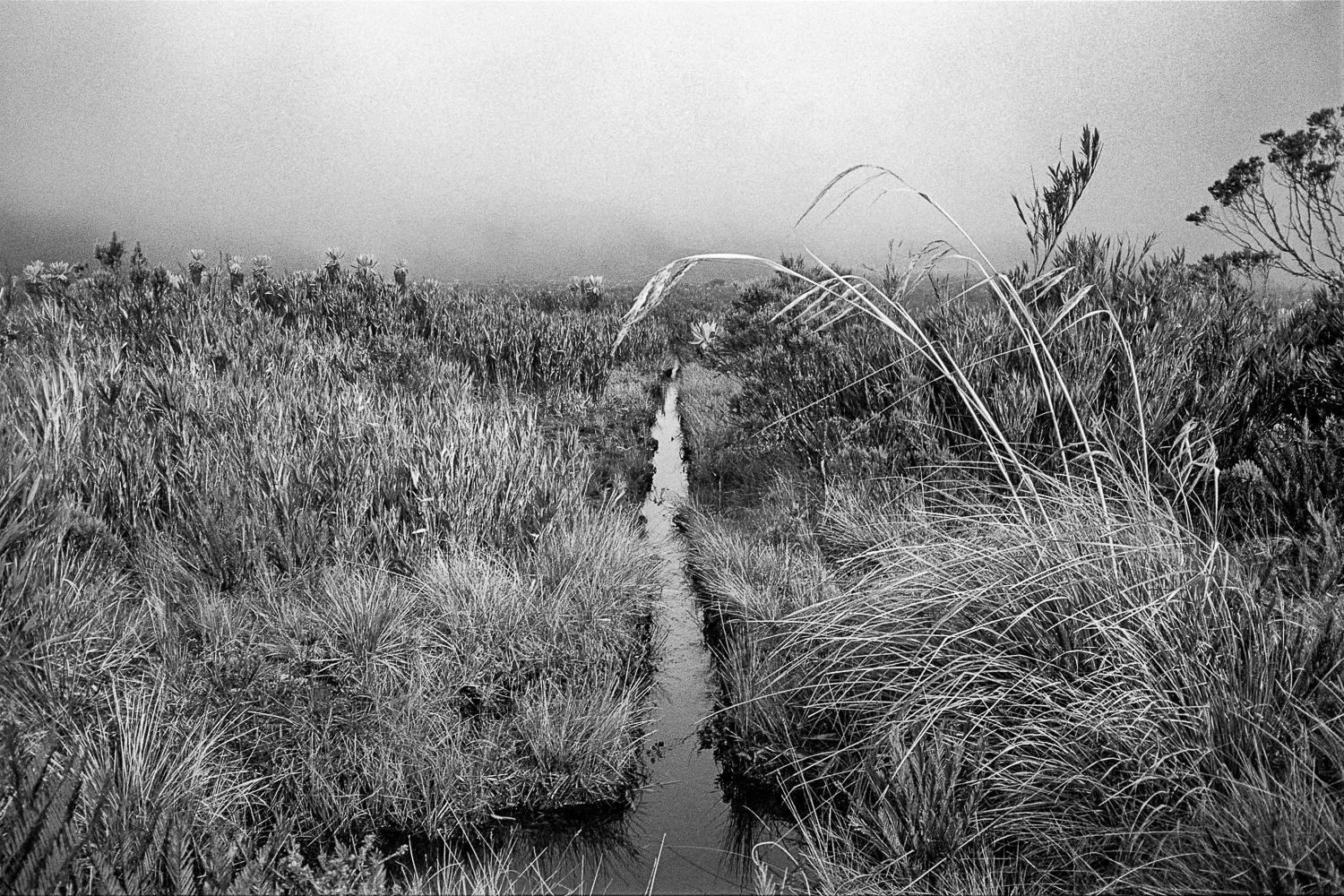 Miguel Winograd  Black and White Photograph - Canal Páramo de las papas, Silver Gelatin Print