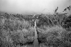 Canal Páramo de las papas, Silver Gelatin Print