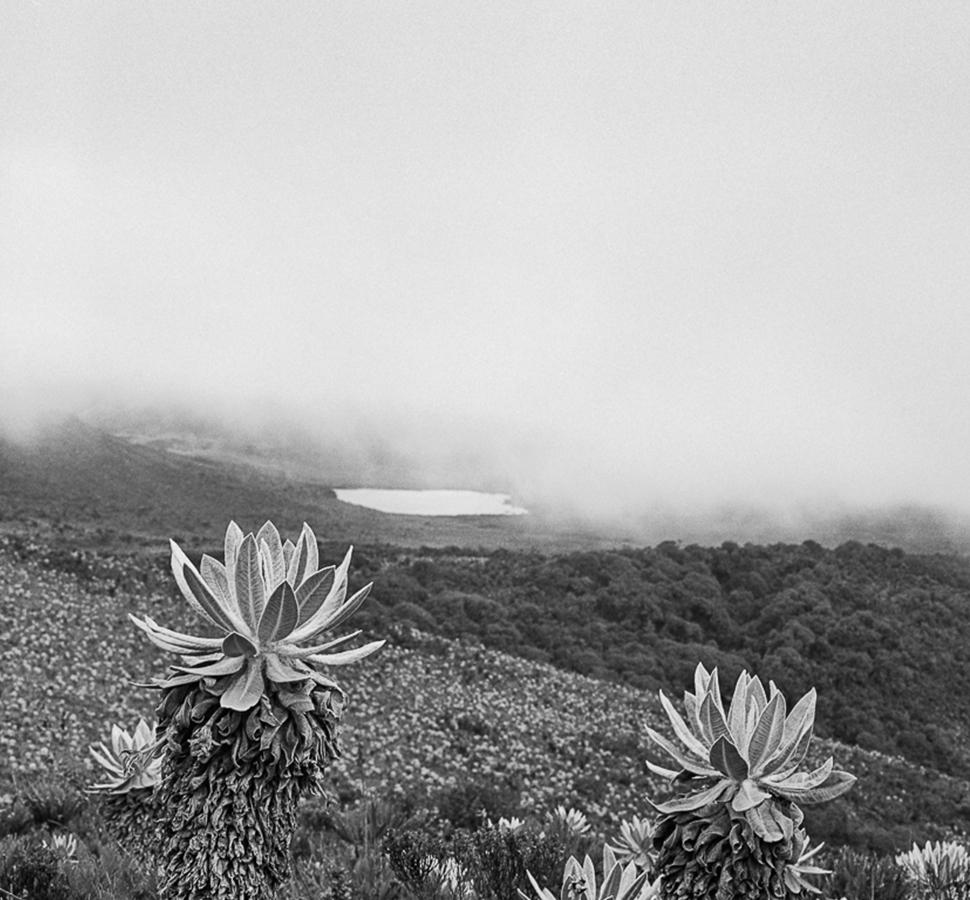 Laguna de la Magdalena, Gelatina de plata - Black and White Photograph Negro de Miguel Winograd 