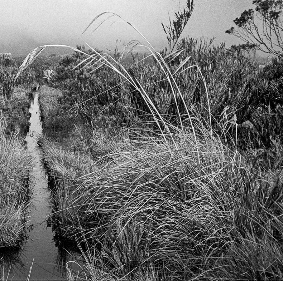 Canal - Pramo de las papas - Impressions pigmentaires - Gris Landscape Photograph par Miguel Winograd 