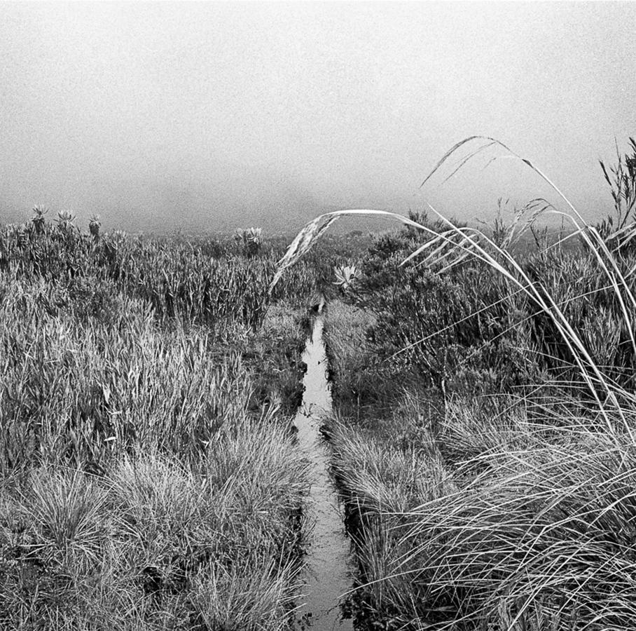 Canal Páramo de las papas, Pigmentdrucke (Naturalismus), Photograph, von Miguel Winograd 