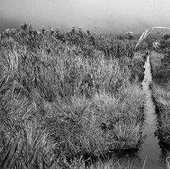 Canal Páramo de las papas, Impresiones pigmentadas