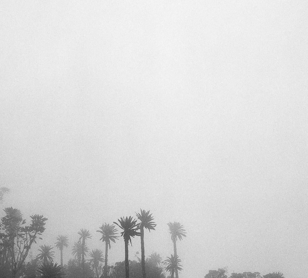 El Palmar (Chingaza), Stampe a pigmento - Black and White Photograph Grigio di Miguel Winograd 