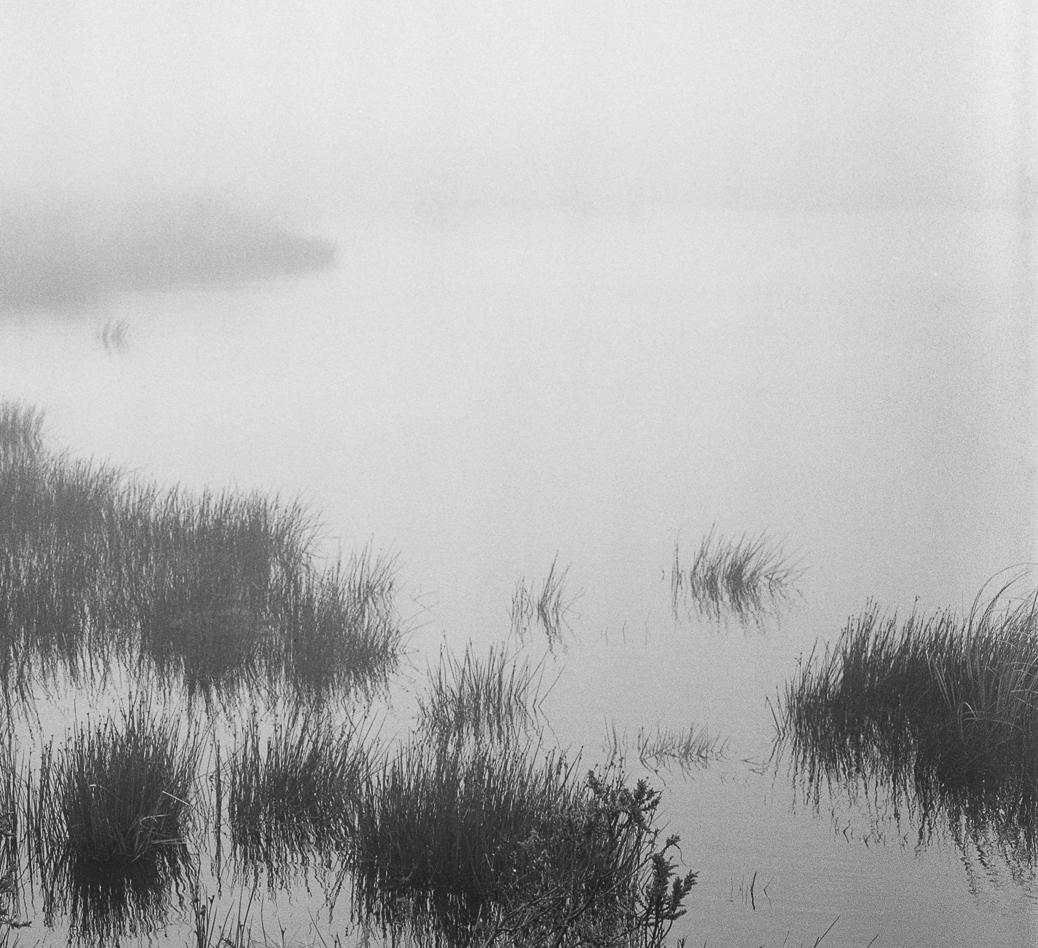 Laguna el Verjón, Pigment Prints - Gray Landscape Photograph by Miguel Winograd 