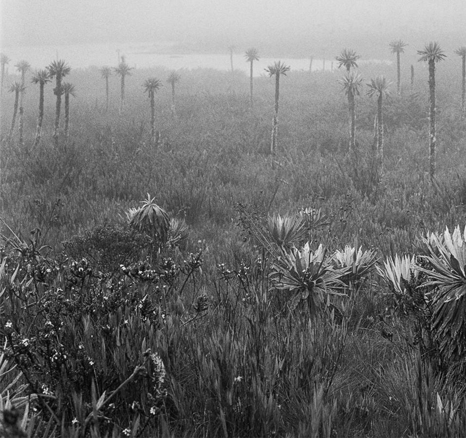 Lagunas de Buitrago Chingaza, Pigment Prints - Photograph by Miguel Winograd 