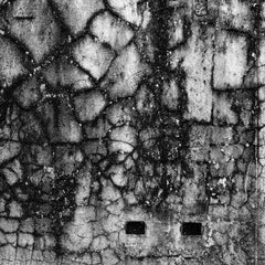 Pared el Palmar, Silver Gelatin Print