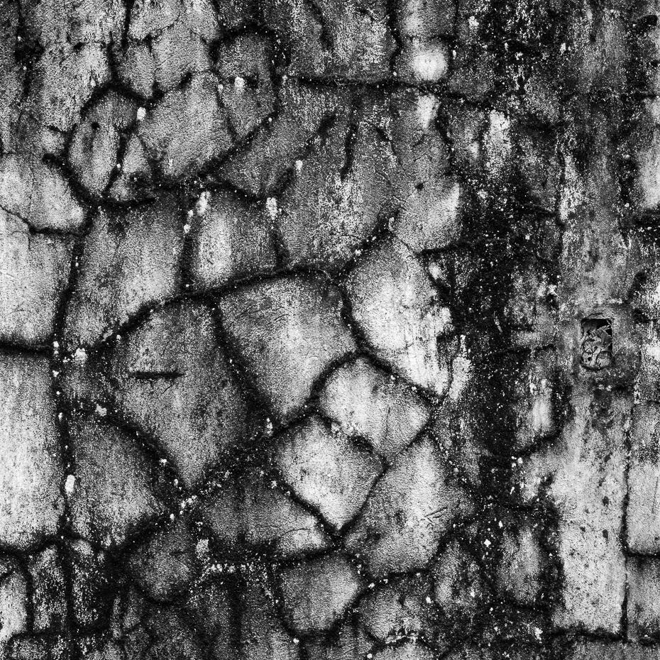 Pared el Palmar, Silver Gelatin Print - Black Landscape Photograph by Miguel Winograd 