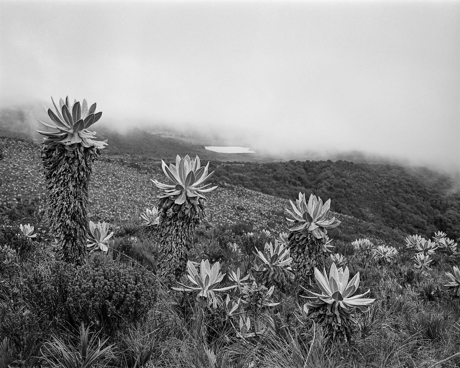 Black and White Photograph Miguel Winograd  - Laguna de la Magdalena, imprimé pigmentaire