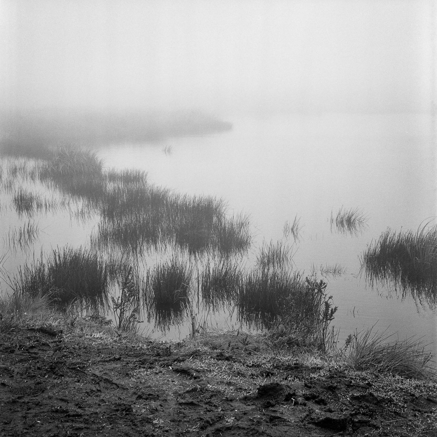 Miguel Winograd  Landscape Photograph - Laguna el Verjón, Silver Gelatin Print