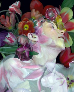 Fauna #1. Fauna series. Figurative Digital Color Collage Photograph