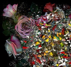 Broken celebrity #7. Abstract and Flowers  Digital Color Collage Photograph