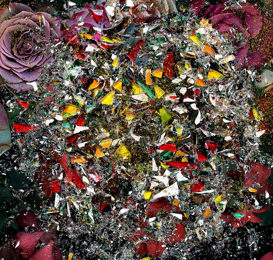 Broken celebrity #7. Abstract and Flowers  Digital Color Collage Photograph - Black Color Photograph by Zoltan Gerliczki