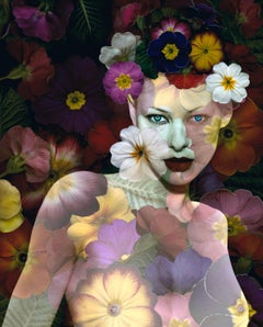 Fauna #4. From the series, Fauna. Figurative Digital Collage Color Photograph