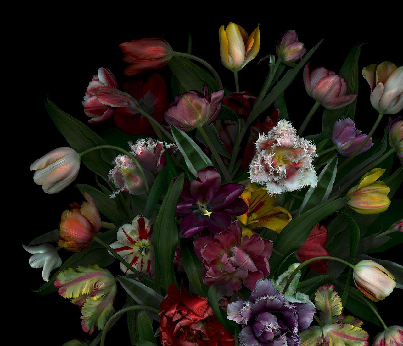 Still Life with Tulips, by Zoltan Gerliczki
From the series 