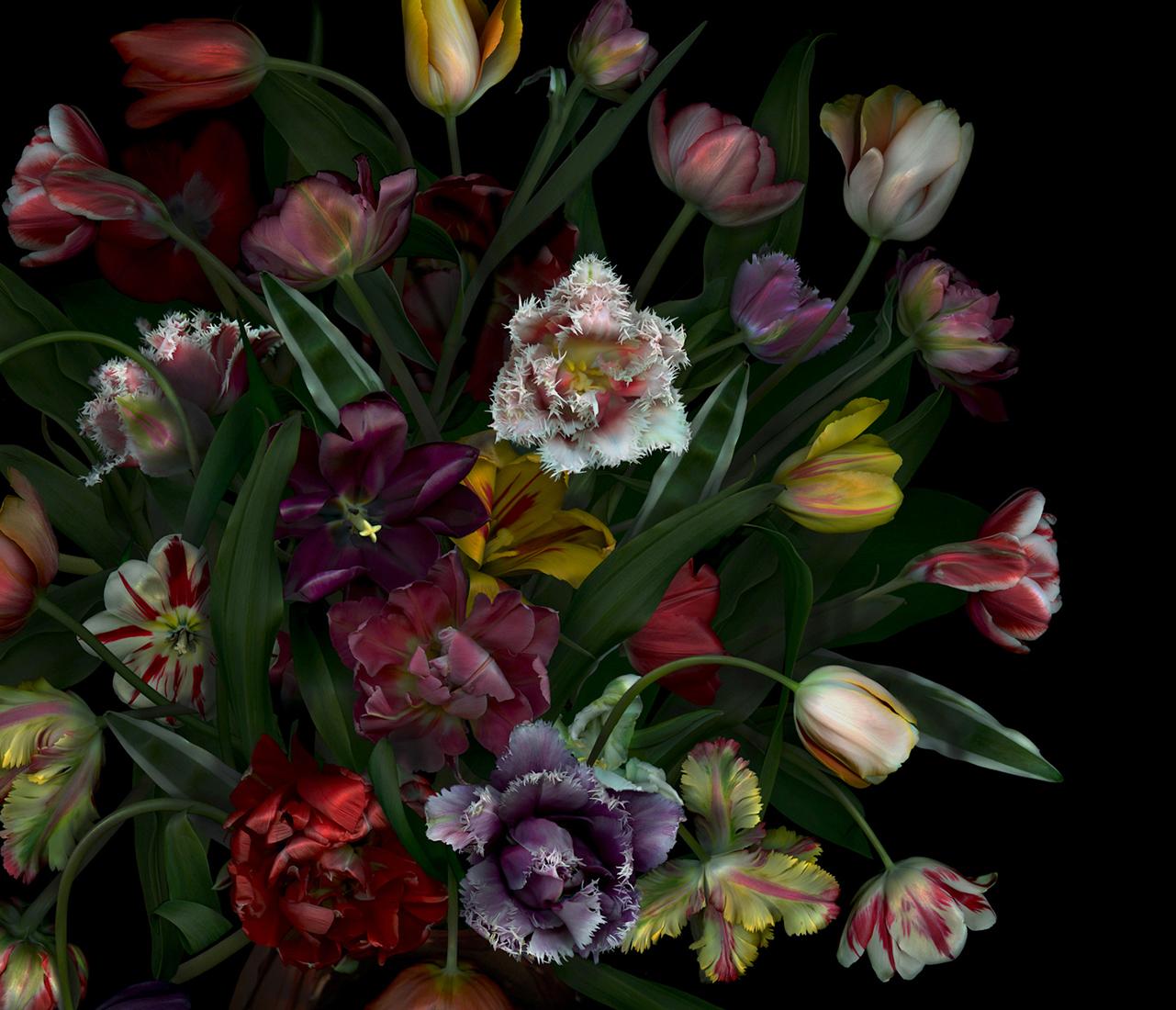 Still Life with Tulips. Flowers. Digital Collage Color Photograph For Sale 1