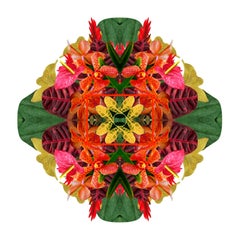 Mandala 1B, From the Mandala Series