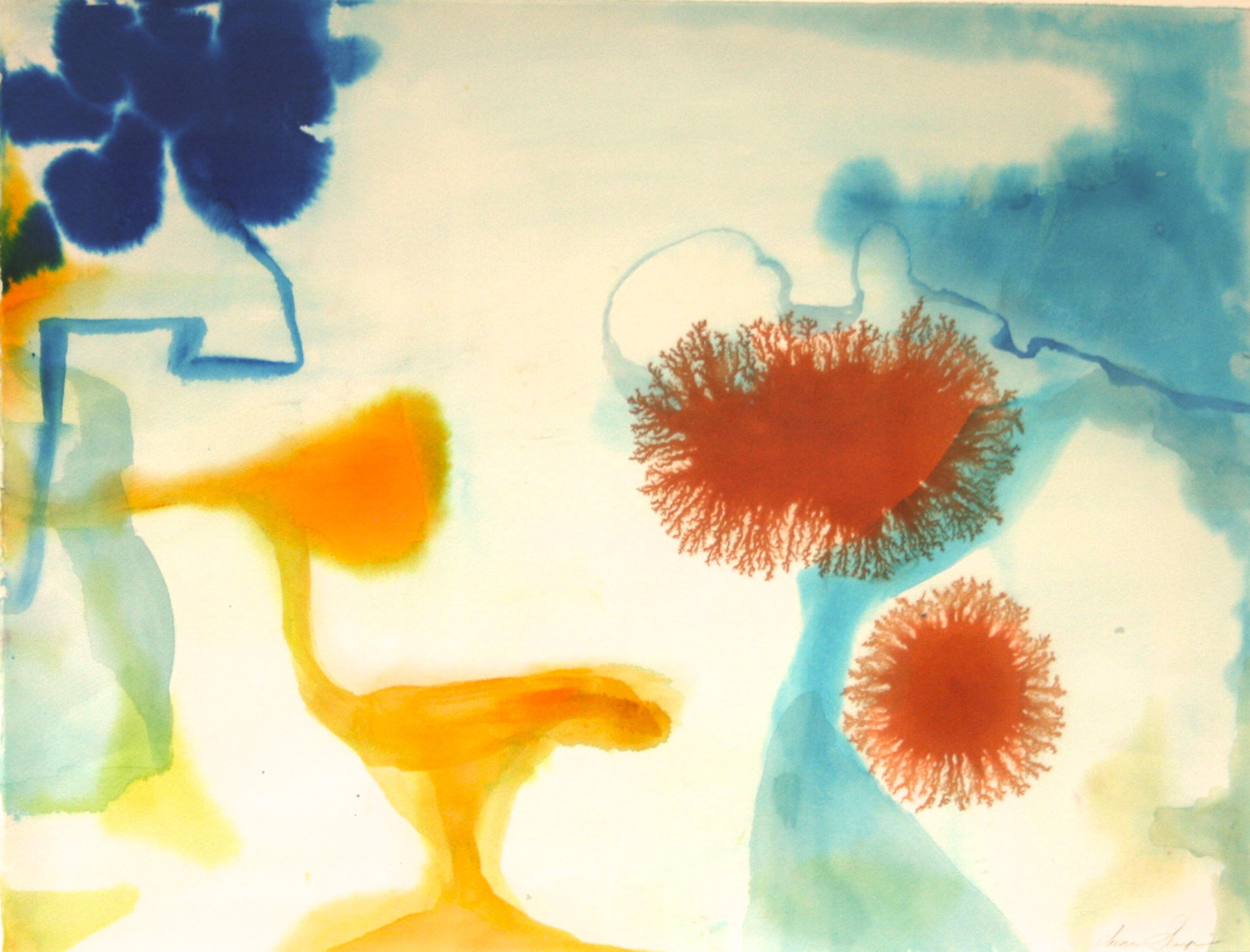 Susan Sharp Abstract Drawing - "Aerial #10"   Biomorphic, fluid abstraction in blue, rust, yellow and turquoise