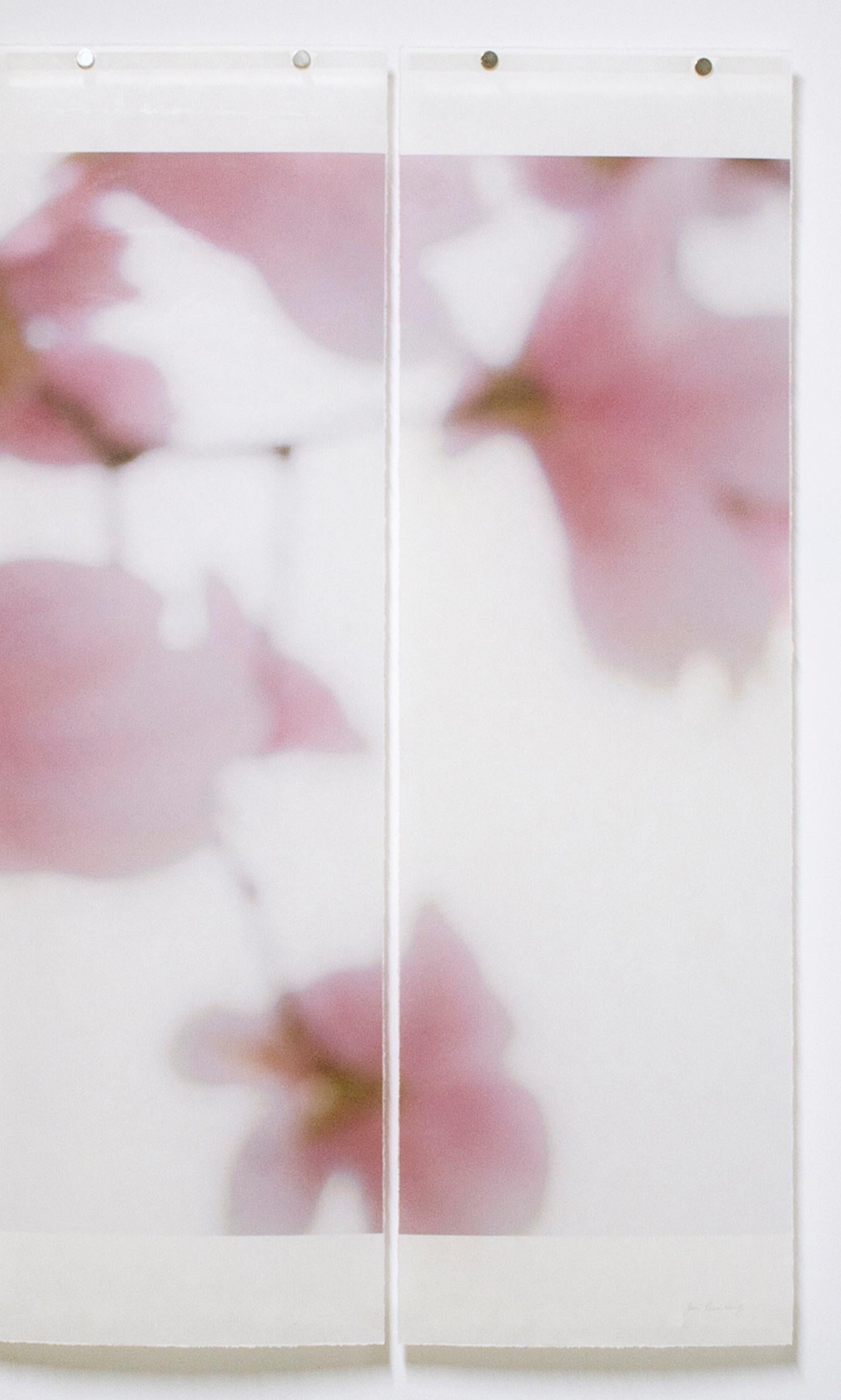 Jeri Eisenberg creates nature inspired works in single panels, diptychs and triptychs. Her soft colored photographic pieces are created using non-traditional and alternative photo-based techniques. Her beautiful work evokes memories and visceral