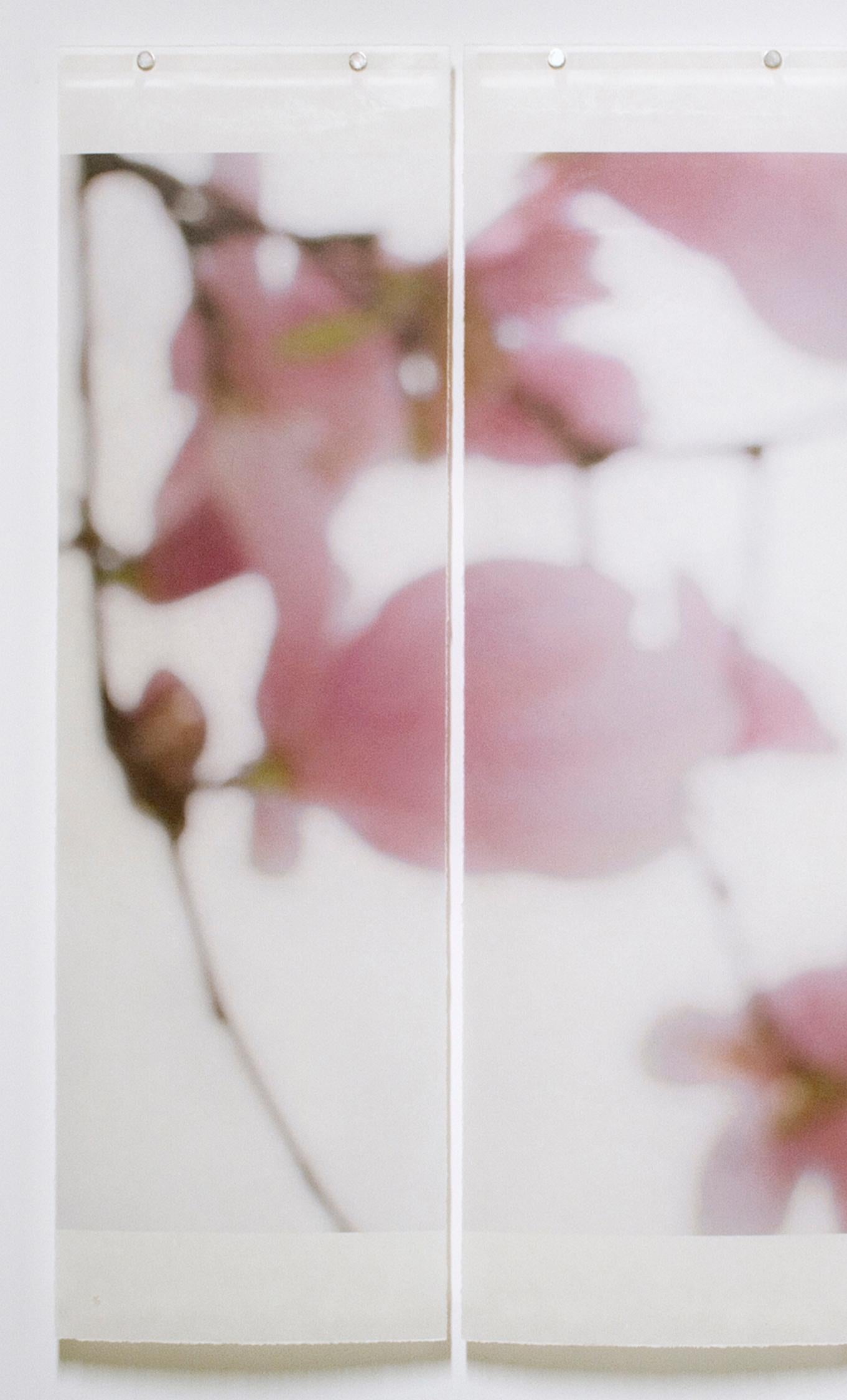 Magnolia triptych - Contemporary Mixed Media Art by Jeri Eisenberg
