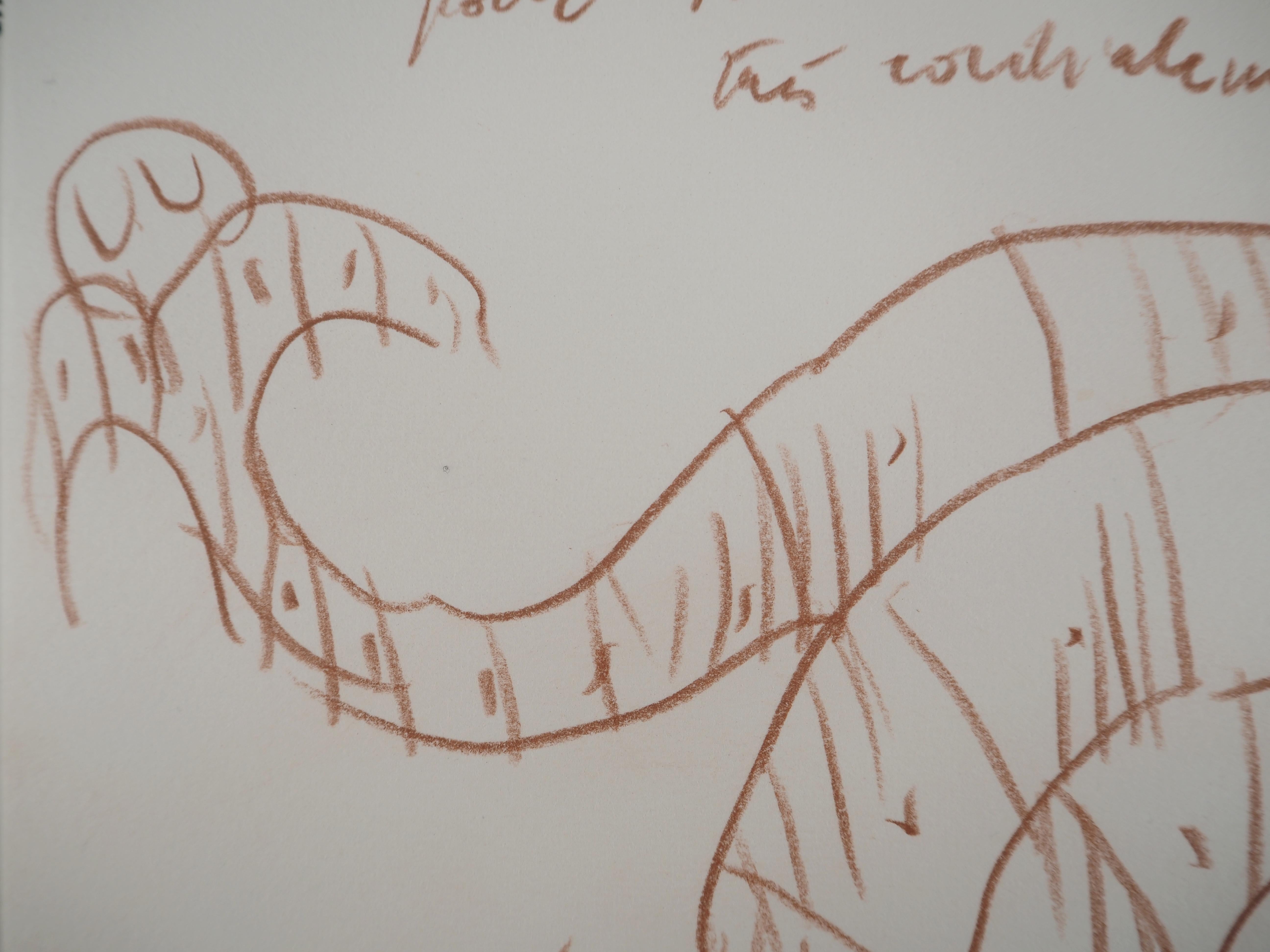 Amonita y volcán en erupción - Dibujo original firmado a mano en venta 2