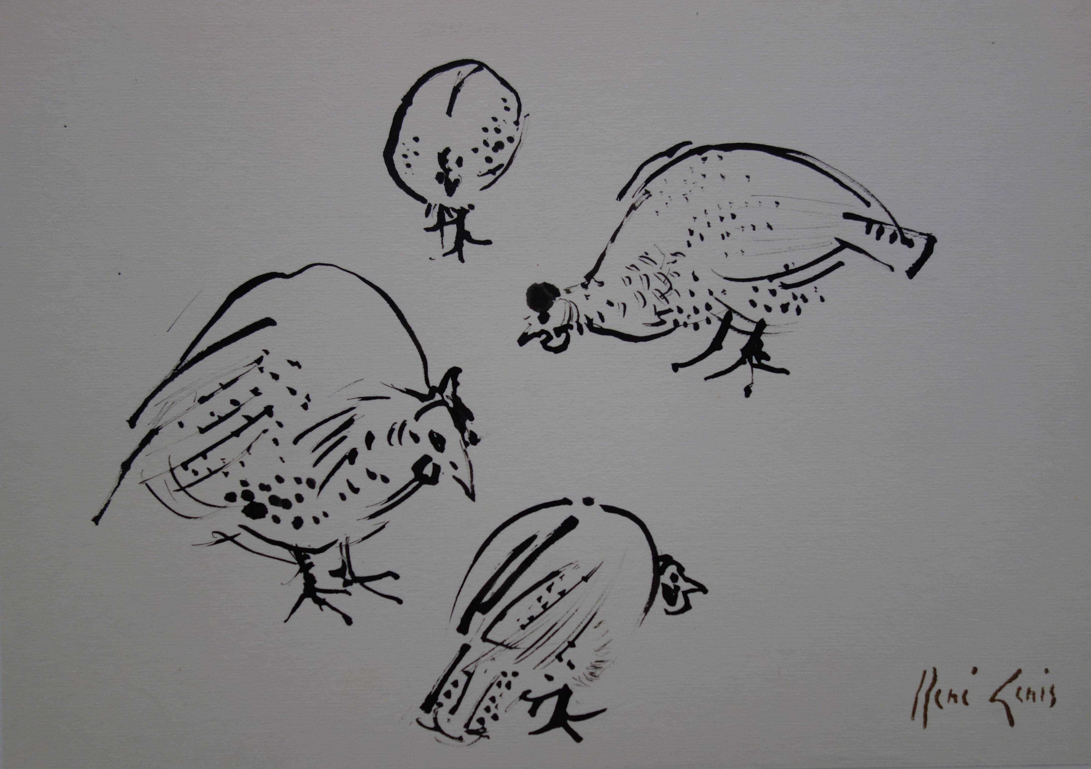 René Genis Nude - Four Guinea Fowls - Original hansigned ink drawing