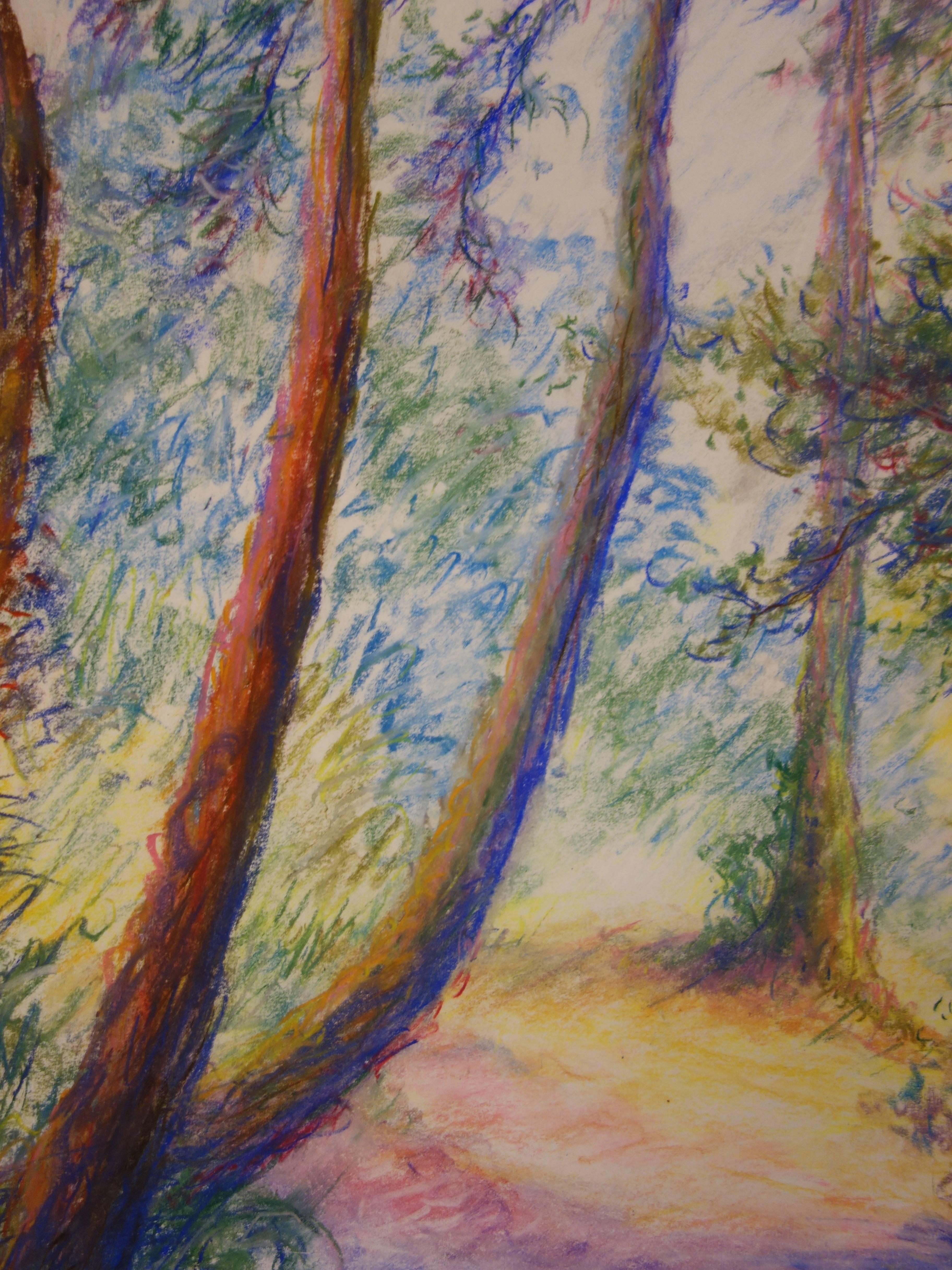 drawings of the woods