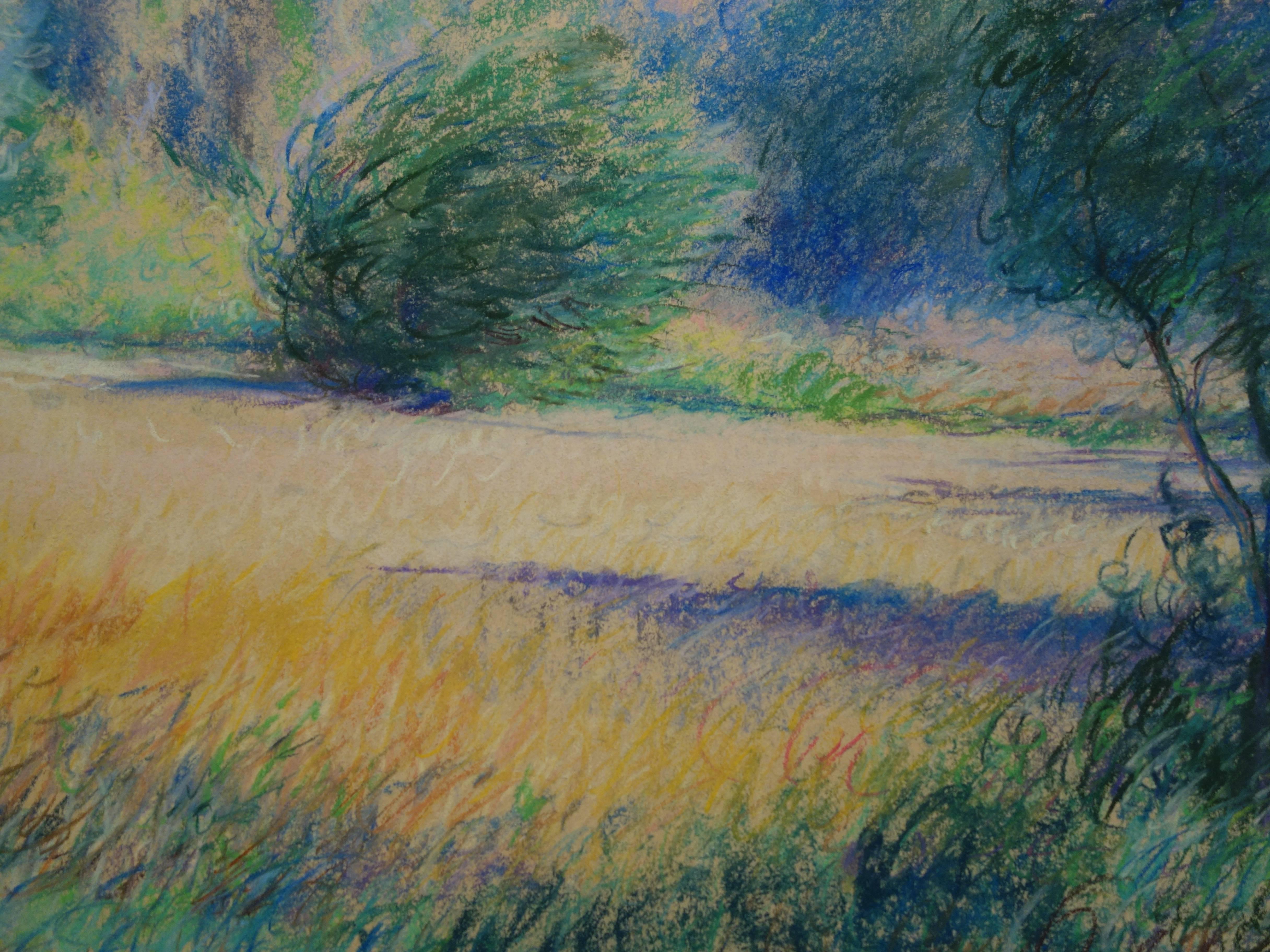 Tribute to Monet : Impressionist Countryside - Original charcoal drawing, Signed - Post-Impressionist Art by Gaston Coppens
