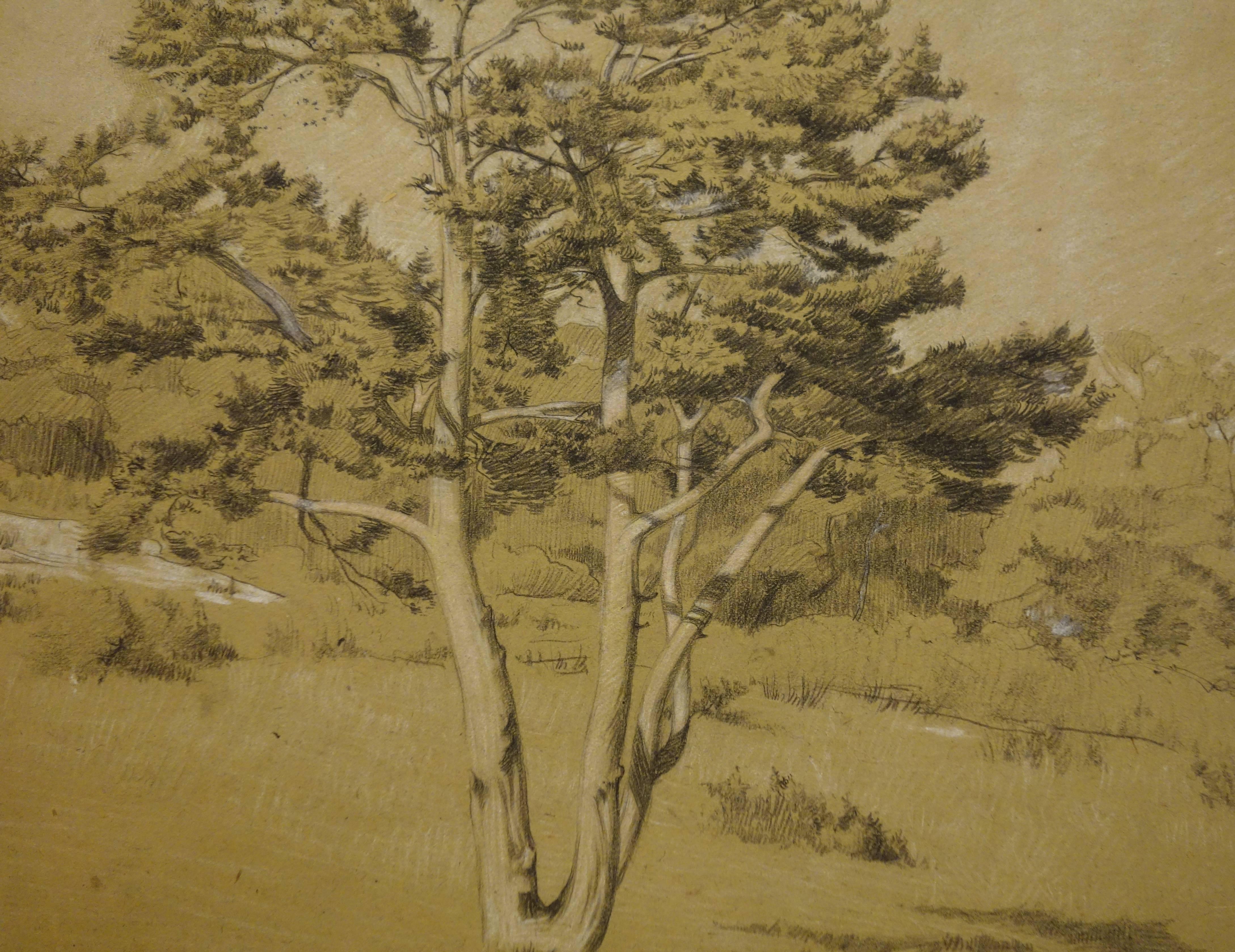Gustave Poetzsch (1870-1950) 
Die alte Kiefer, 1891

Original-Kohle und Bleistiftzeichnung
Signiert auf der Rückseite
Stempel der Nachlassversteigerung auf der Rückseite
auf cremefarbenem Pergament 27,5 x 25 cm (ca. 11 x 10 in)

Sehr guter Zustand -