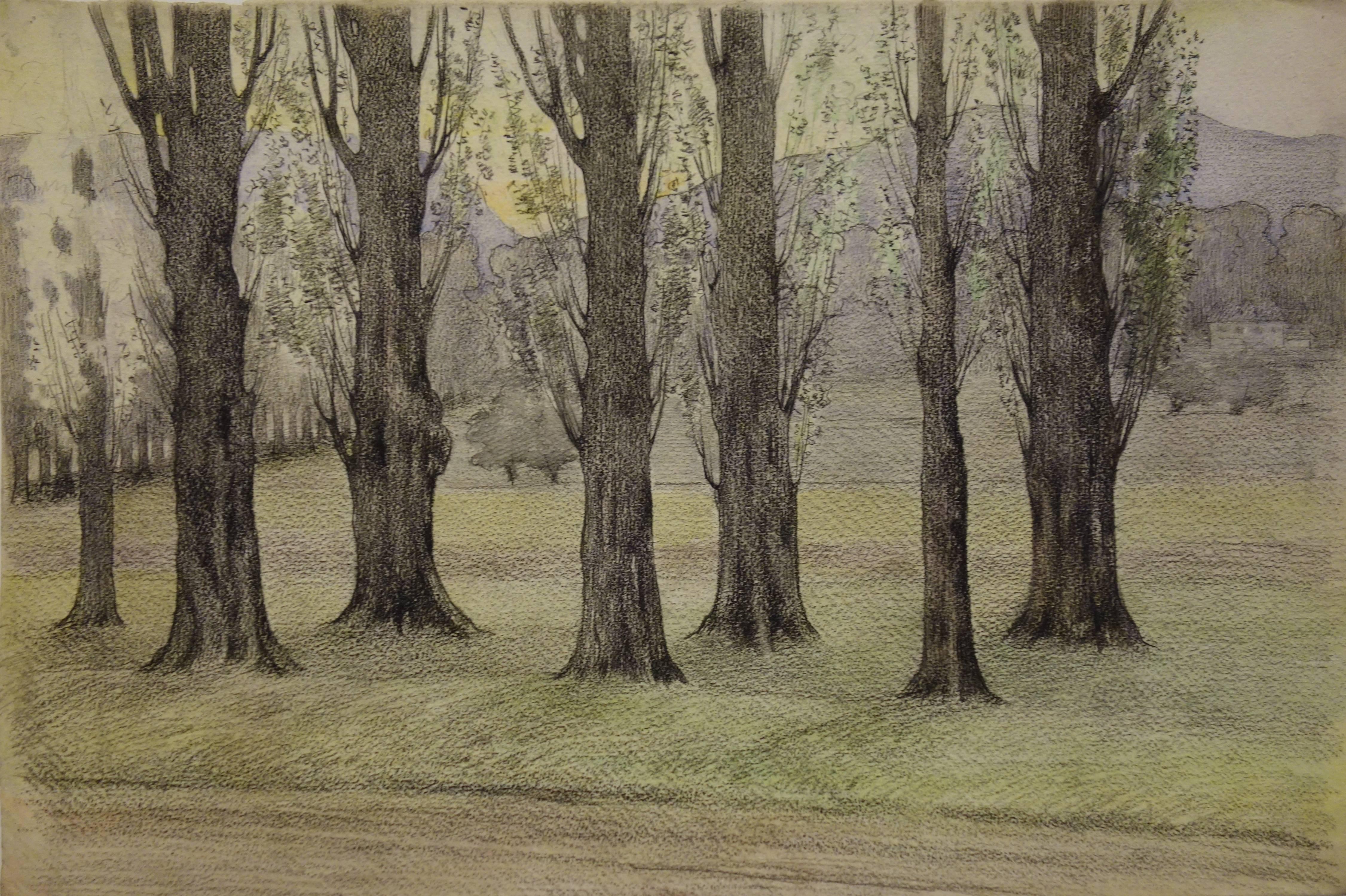 Trees near the Road - Original Watercolor and Charcoals Drawing 
