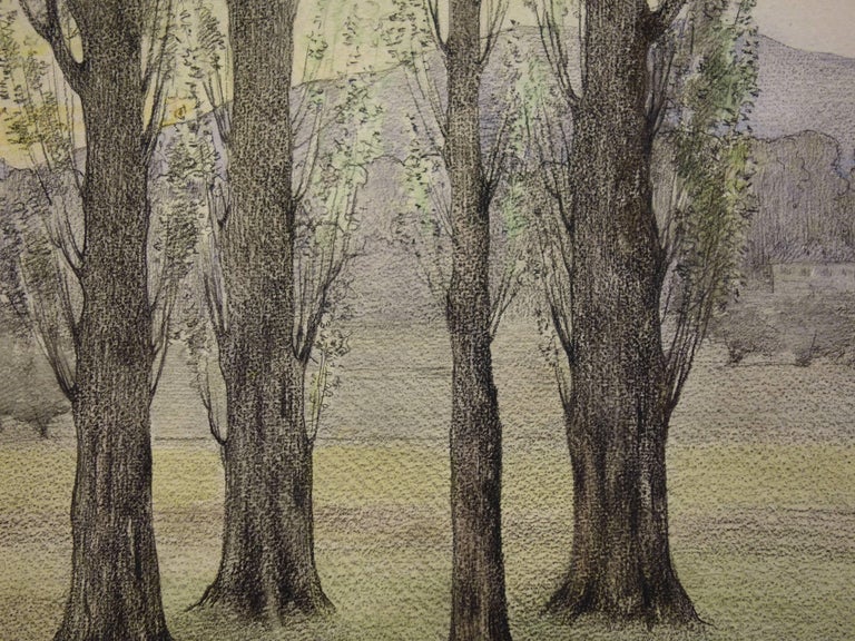Trees near the Road - Original Watercolor and Charcoals Drawing  - Brown Landscape Art by Gustave Poetzsch