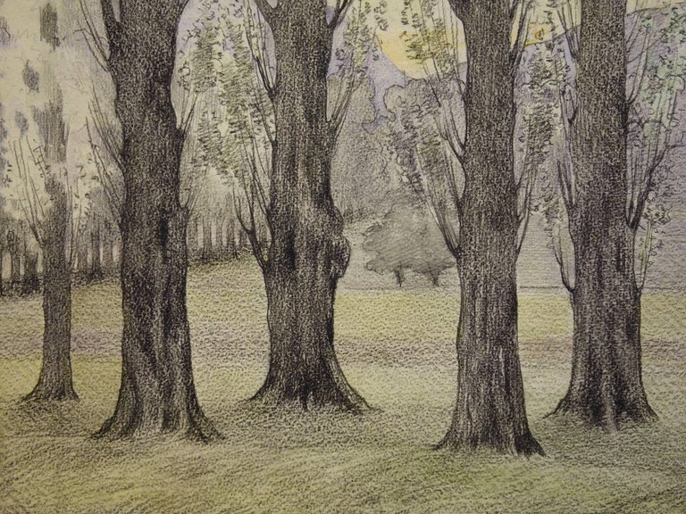 Trees near the Road - Original Watercolor and Charcoals Drawing  - Realist Art by Gustave Poetzsch