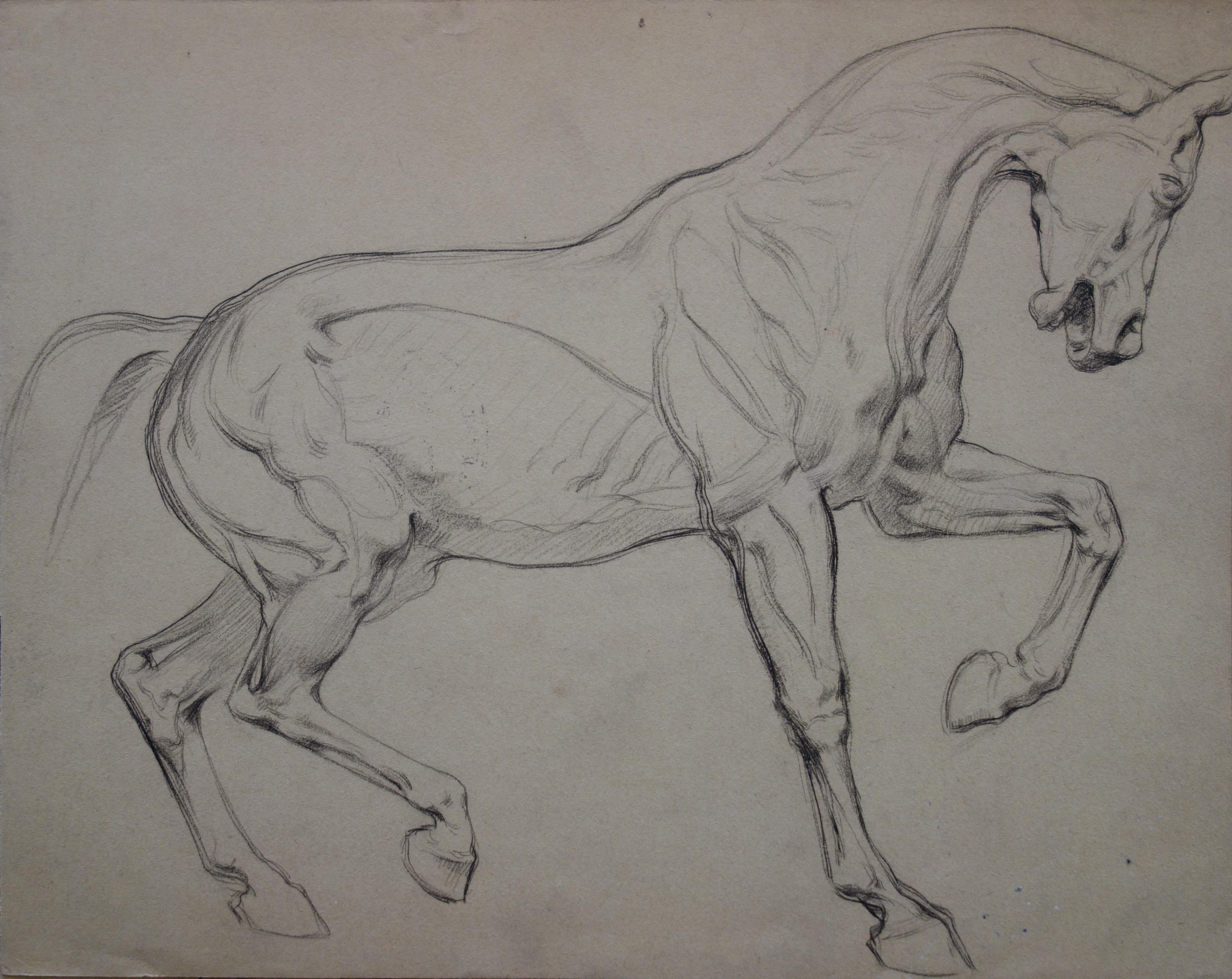Gustave Poetzsch Landscape Art - Study of a horse after Degas- Original Pencil Drawing 