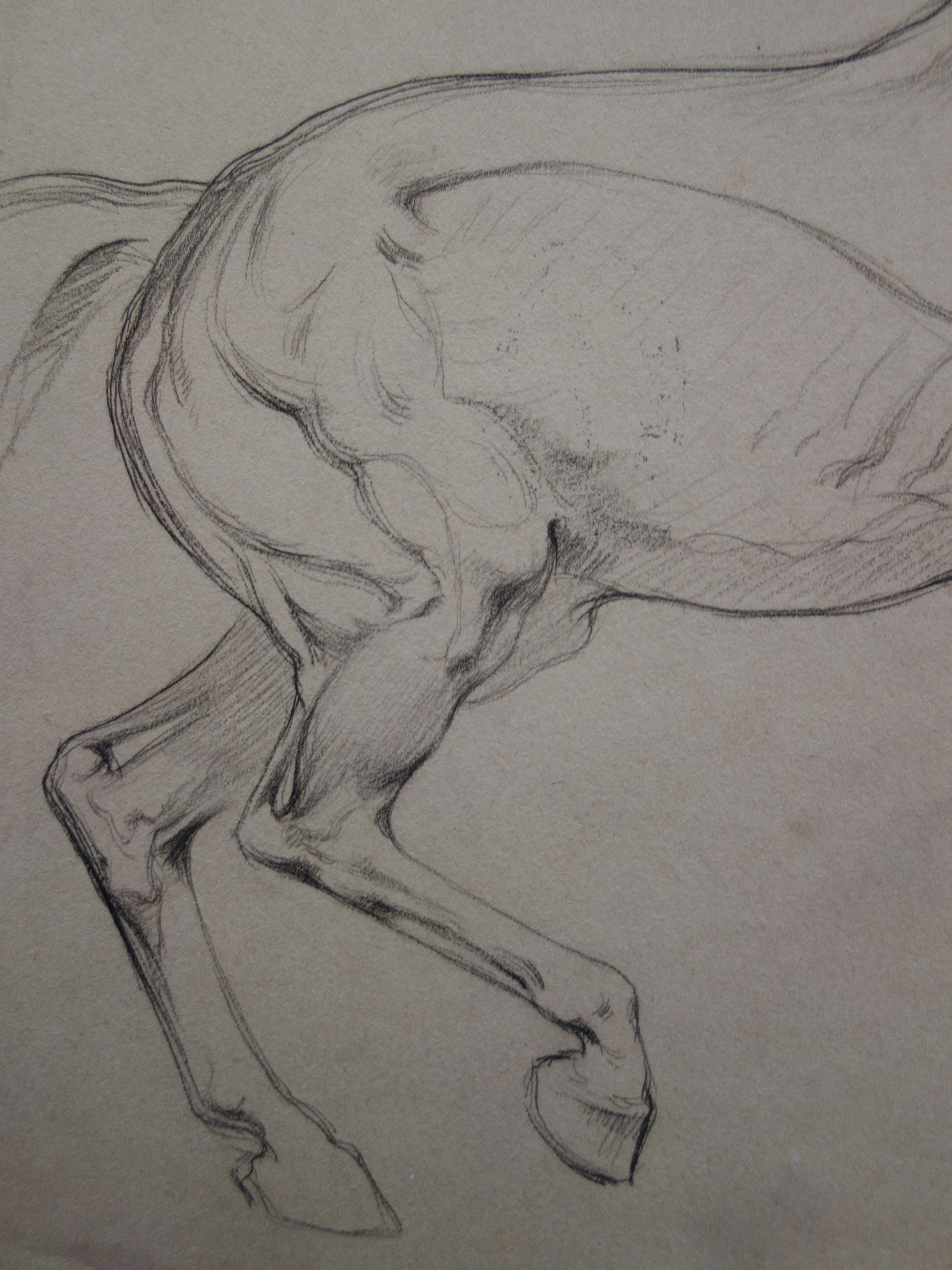 Study of a horse after Degas- Original Pencil Drawing  - Realist Art by Gustave Poetzsch