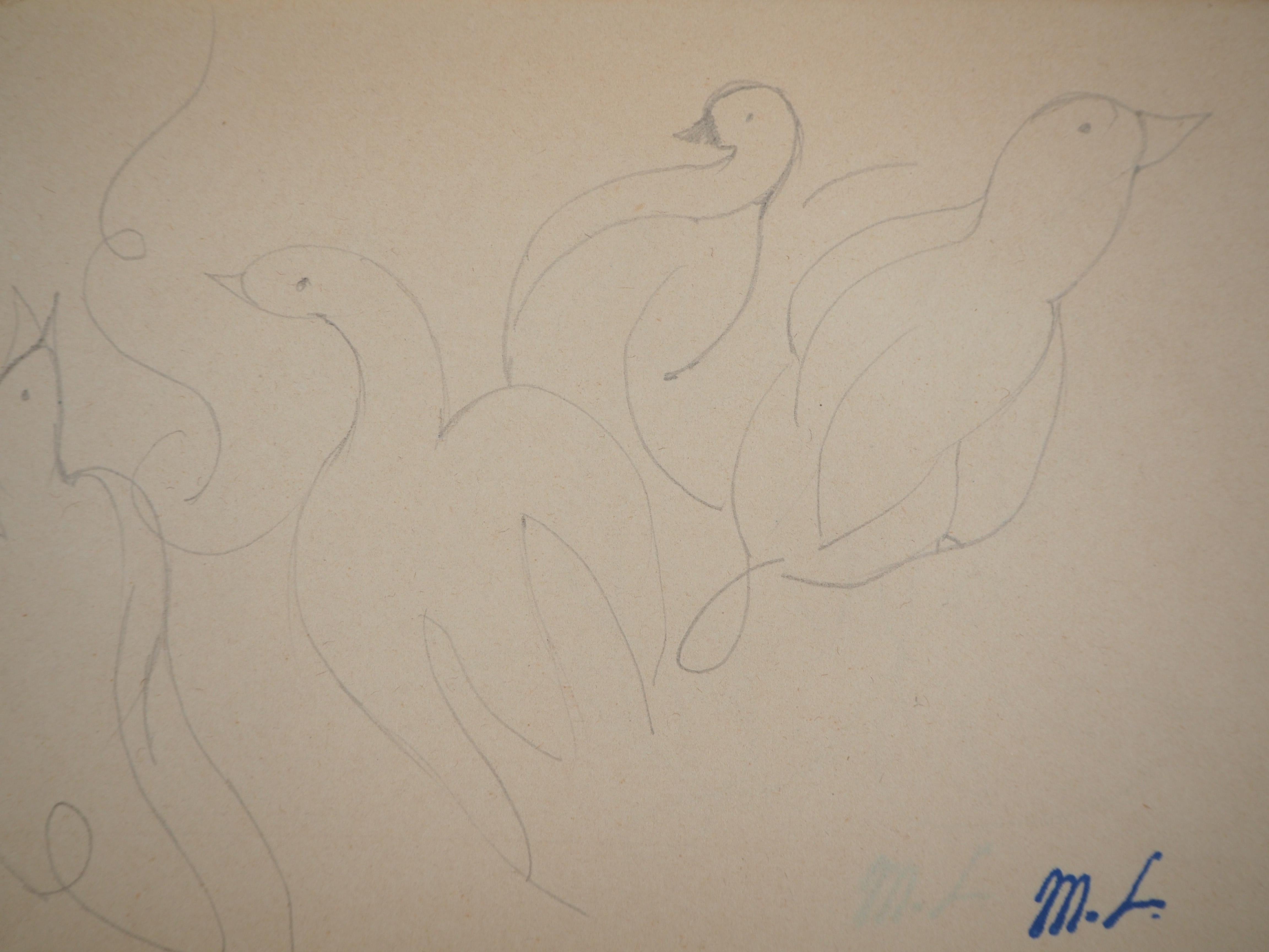 pencil drawings of ducks