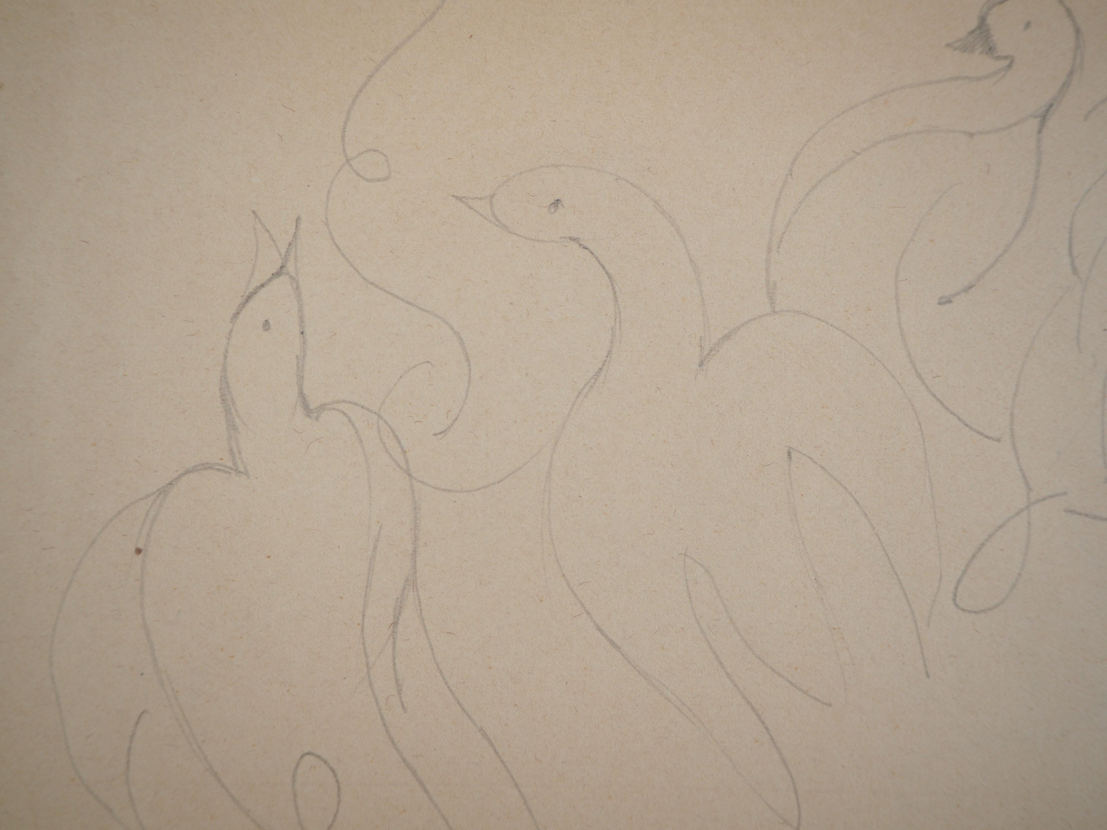 Art Deco Gänseblümchen und Enten - Original Bleistiftzeichnung im Angebot 1