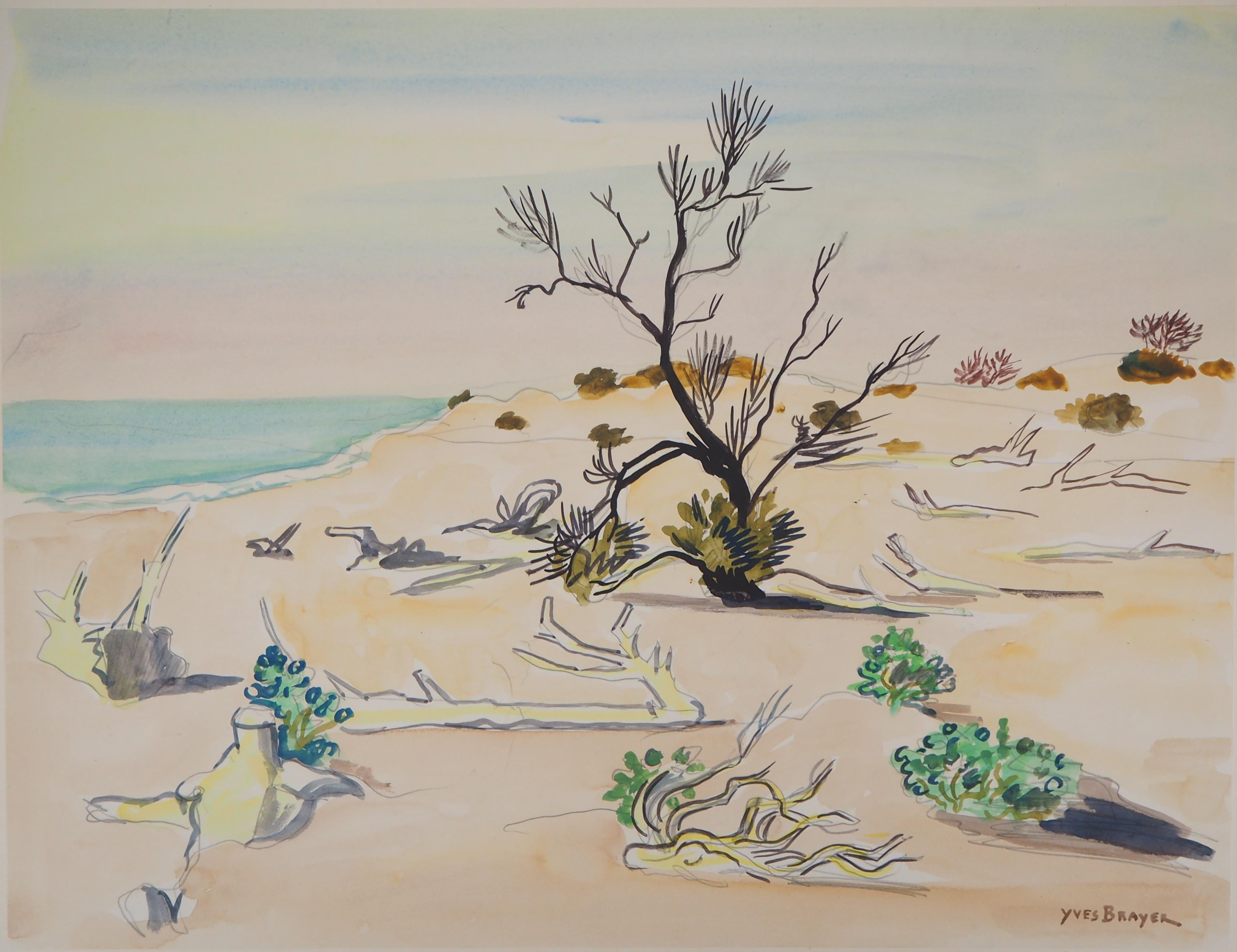 Yves Brayer Landscape Art - Nature : Wild Beach - Original watercolor, Handsigned