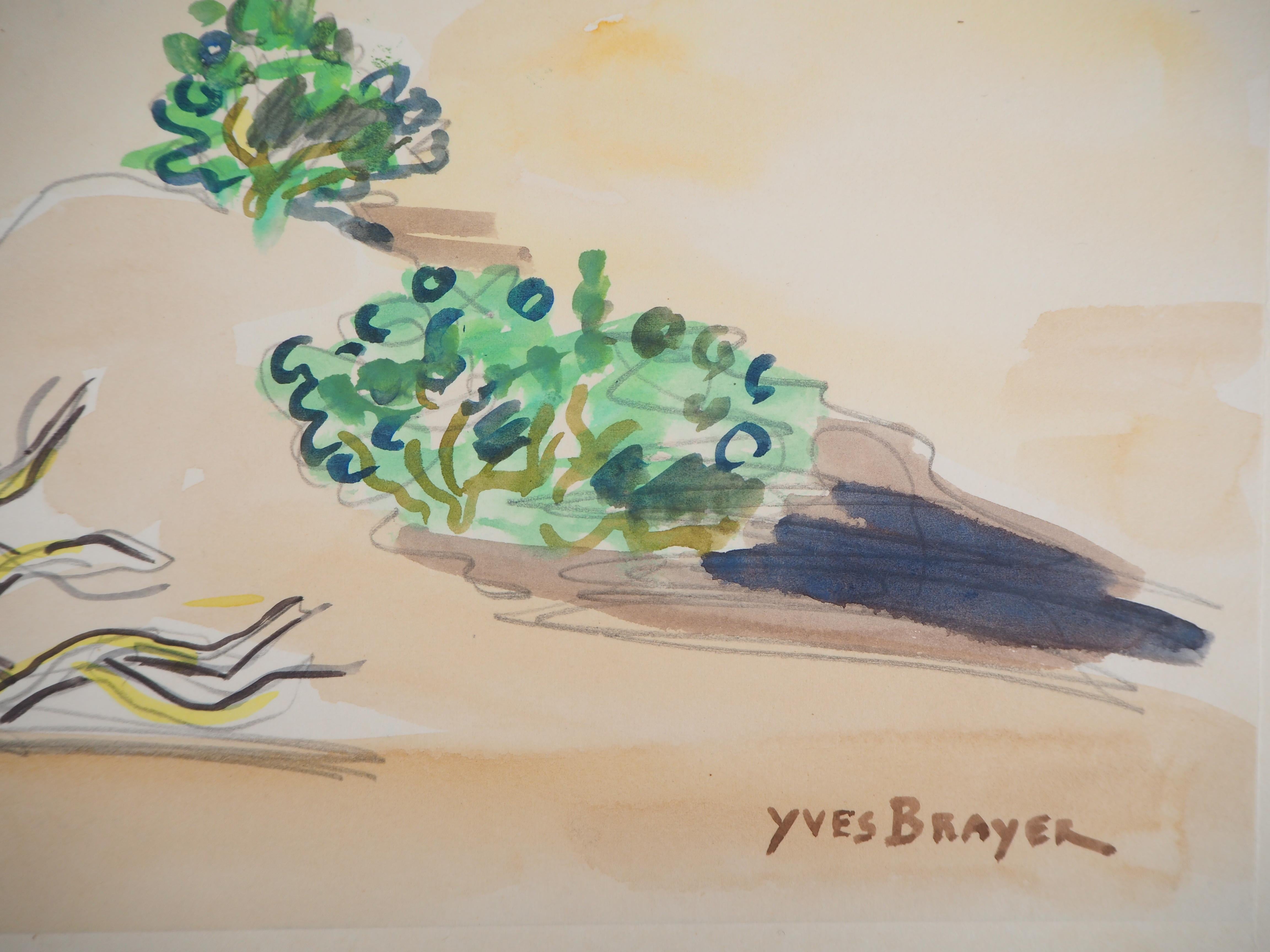 Nature : Wild Beach - Original watercolor, Handsigned - Art by Yves Brayer