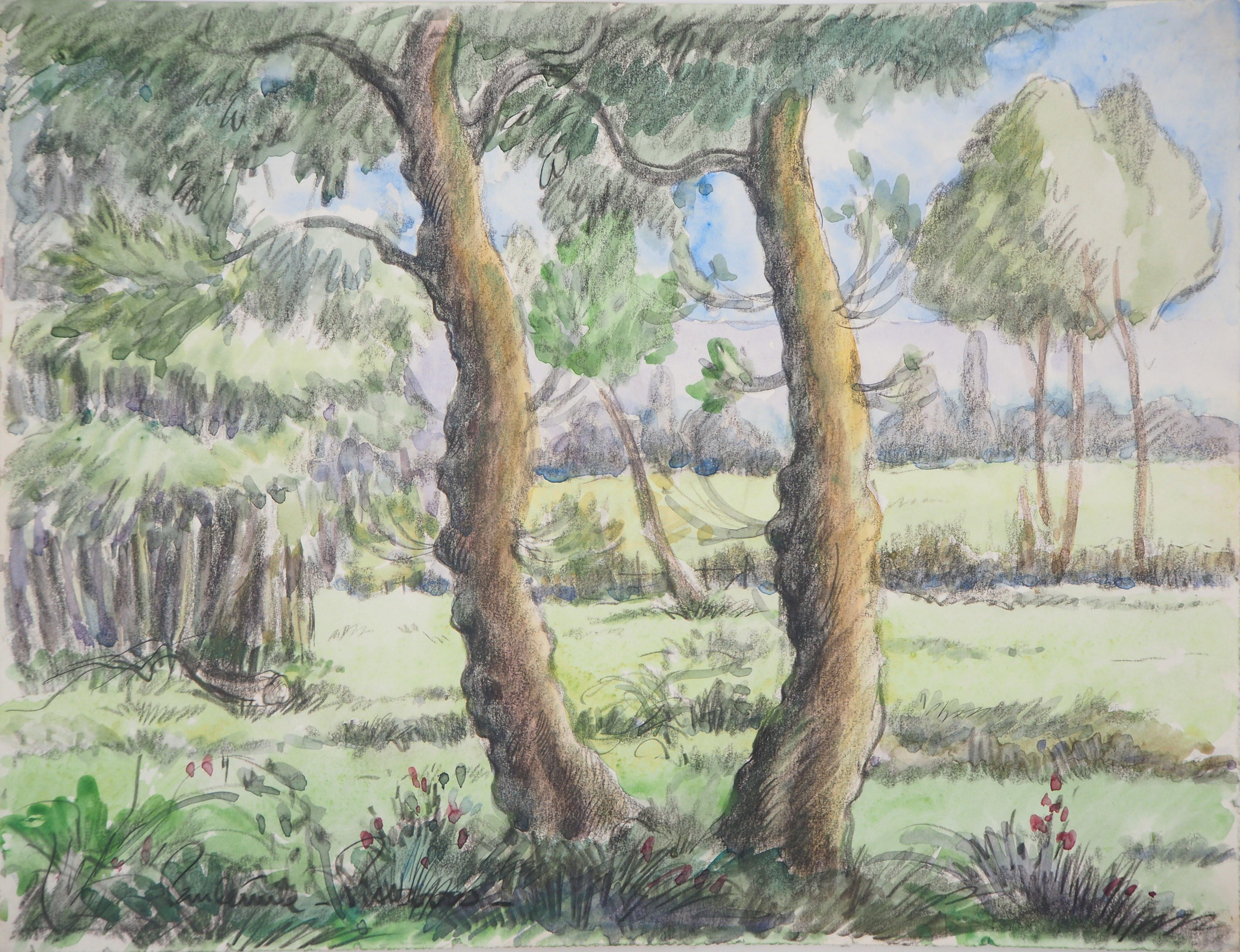 Paul Emile Pissarro Landscape Art - Tribute to Cezanne : The Old Pines - Original watercolor painting - Signed