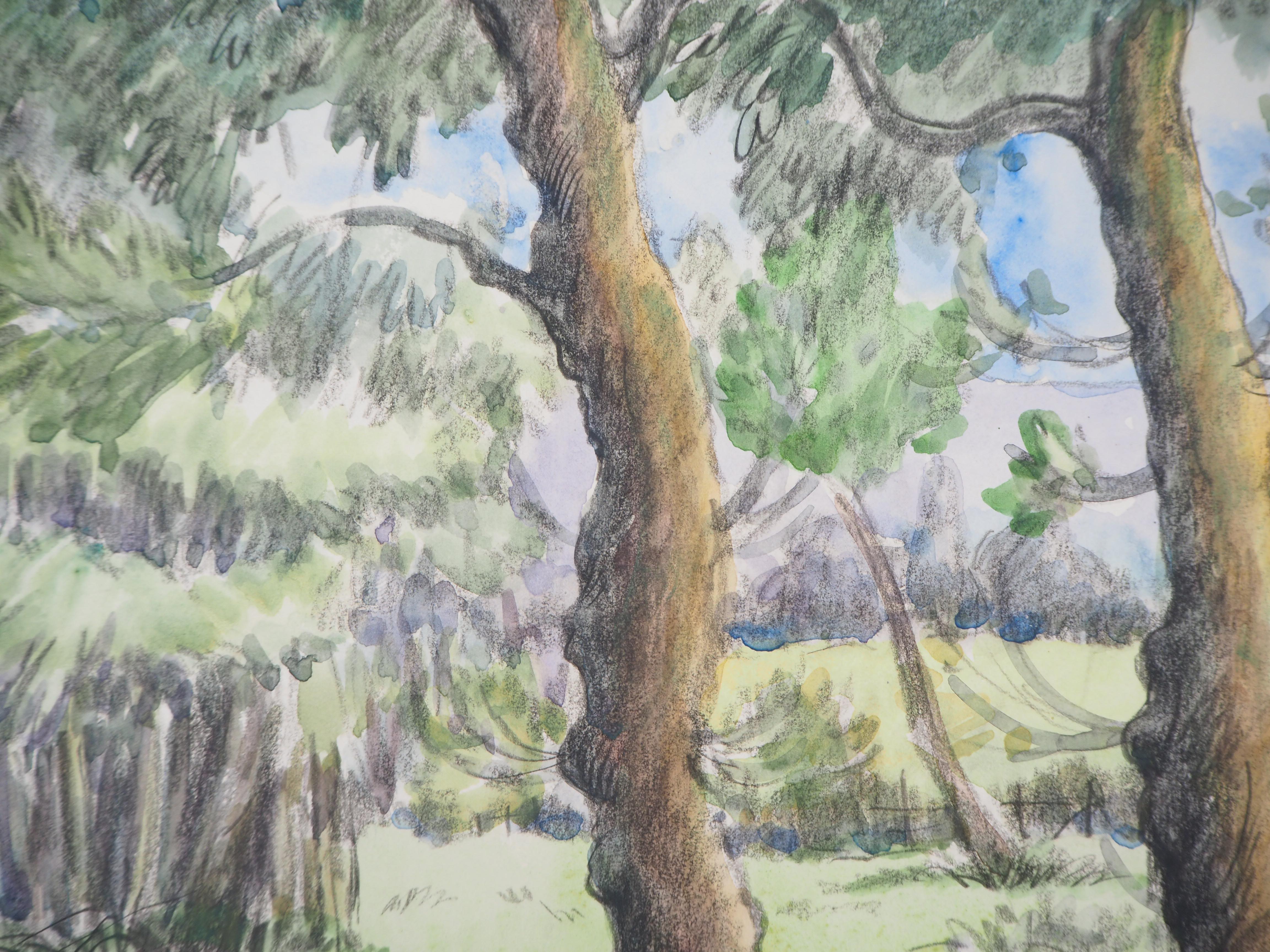 Tribute to Cezanne : The Old Pines - Original watercolor painting - Signed - Impressionist Art by Paul Emile Pissarro