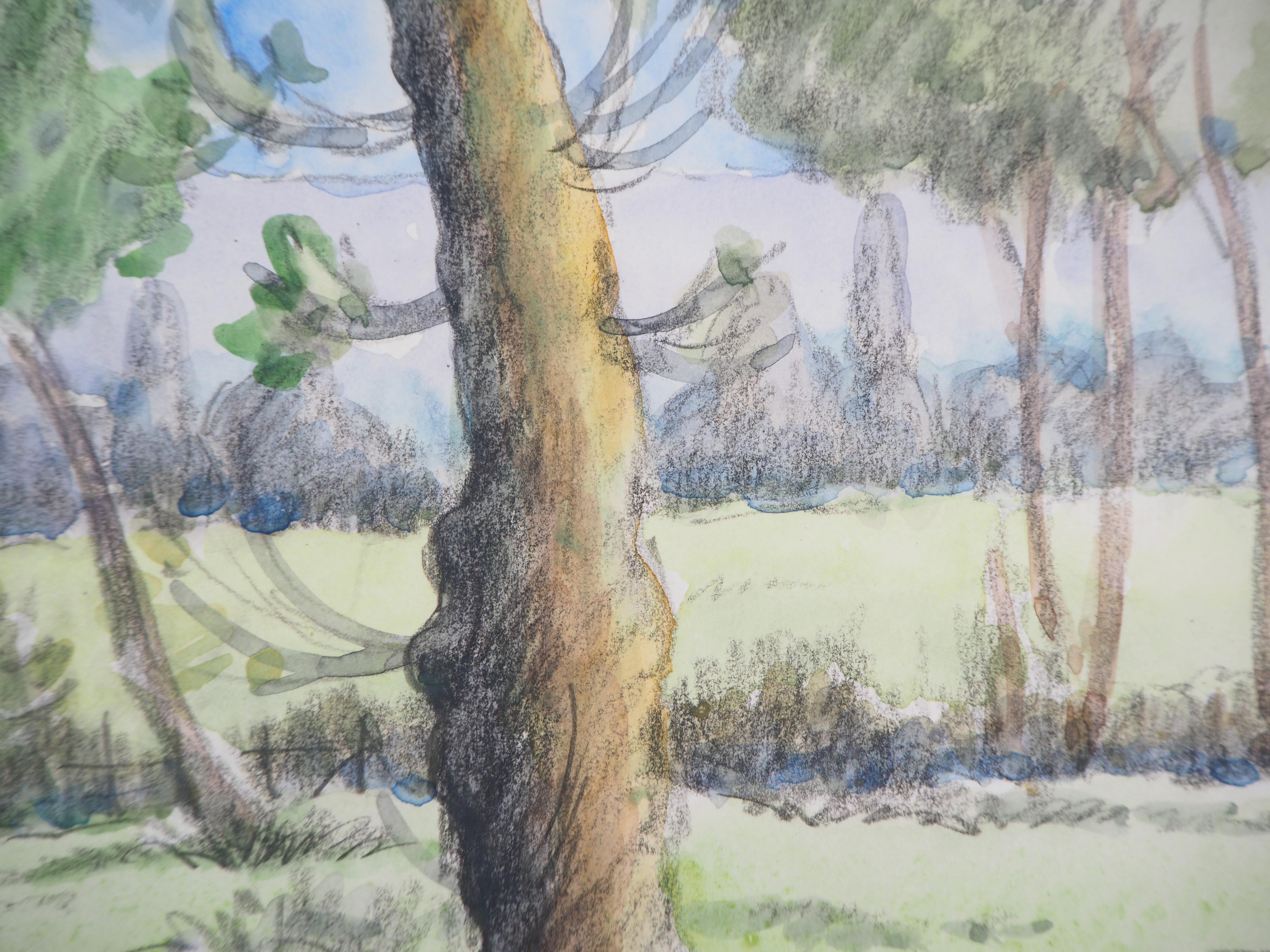 Paul Emile PISSARRO (1884-1972)
Tribute to Cezanne : The Old Pines, c. 1940

Original watercolor and charcoals painting
Handsigned in the lower left corner
On vellum 25 x 32 cm (c. 10 x 13 in)

Very good condition