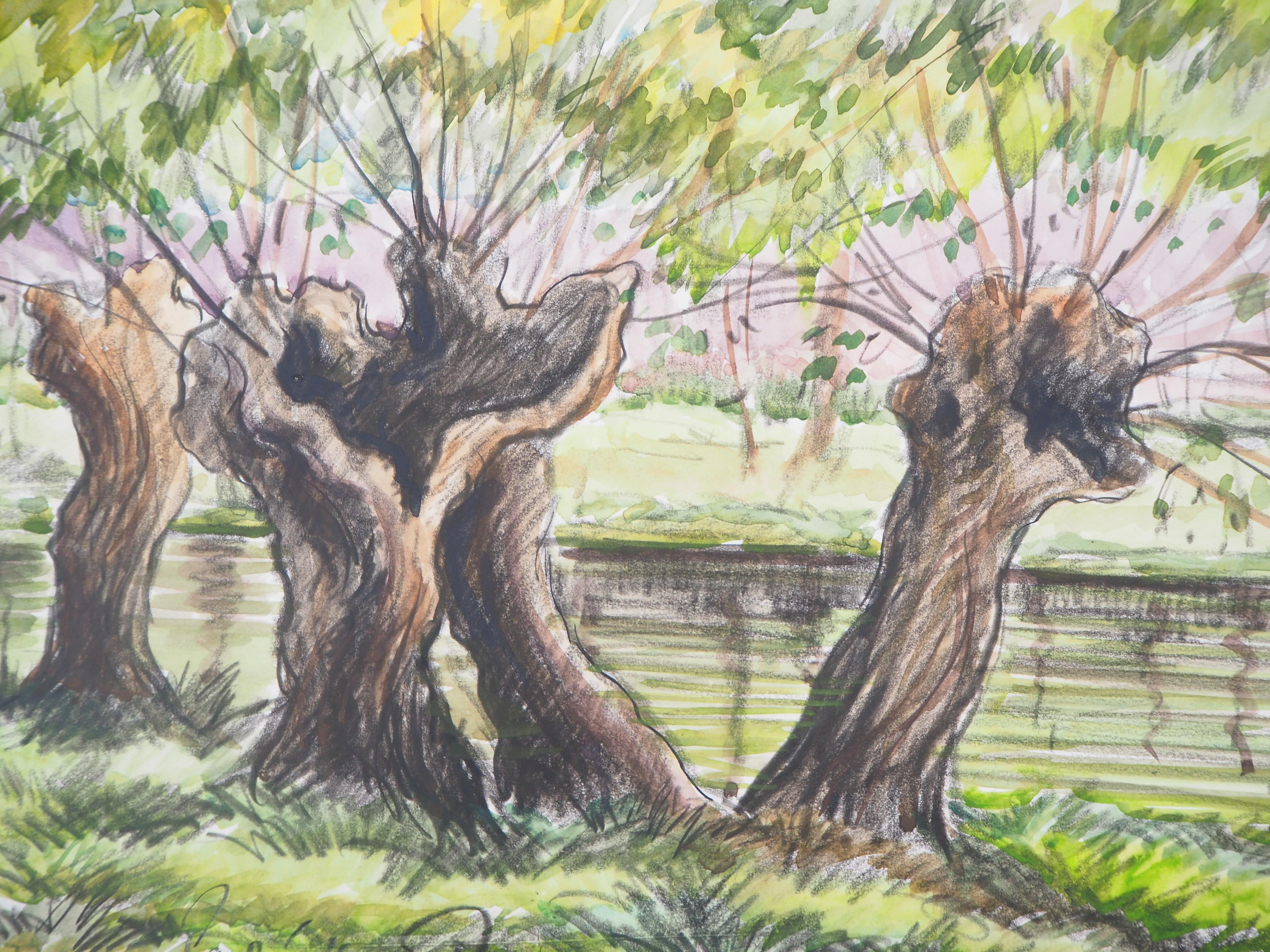 Old Trees near a Canal - Original watercolor painting - Signed - Impressionist Art by Paul Emile Pissarro
