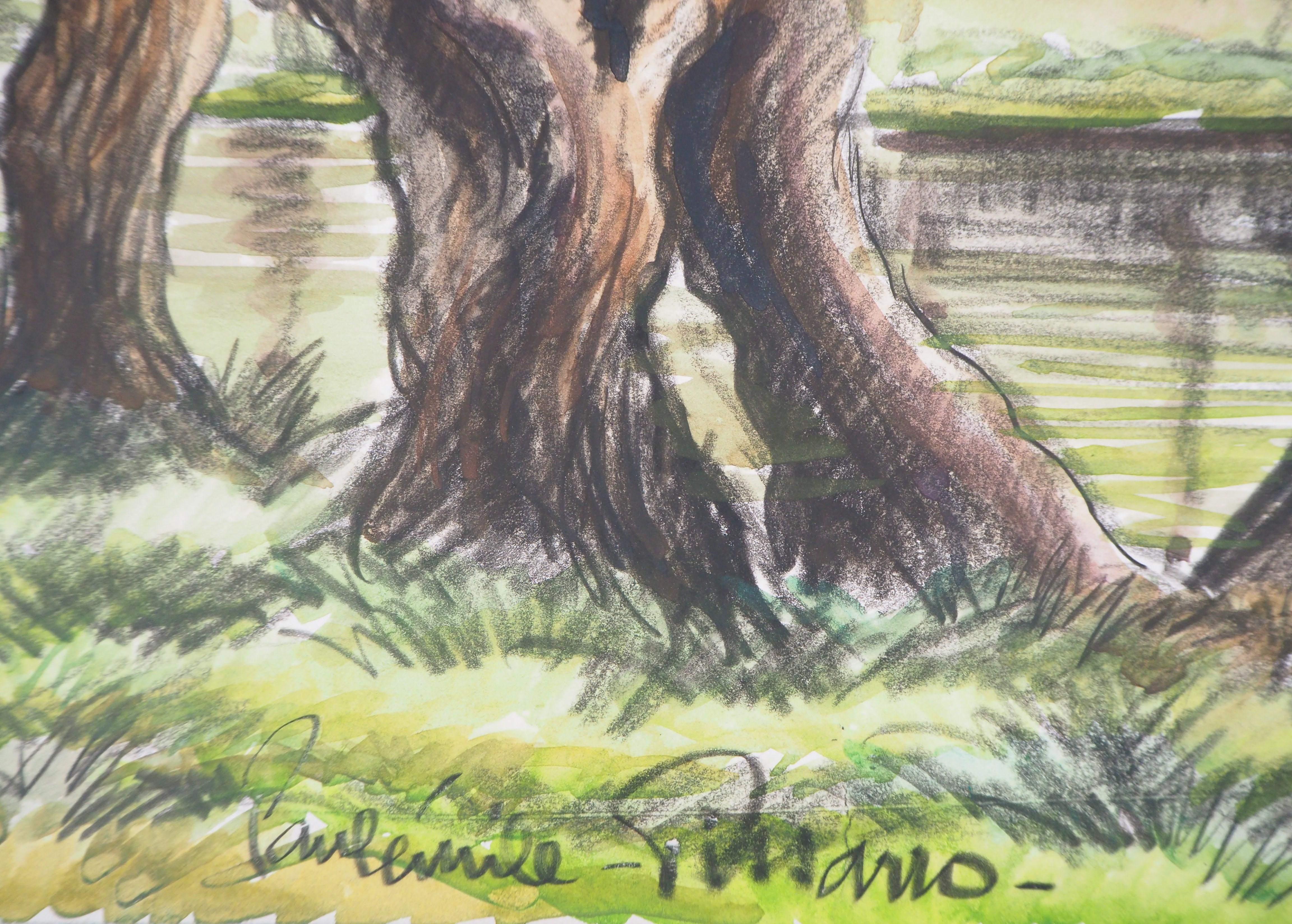 Old Trees near a Canal - Original watercolor painting - Signed - Art by Paul Emile Pissarro