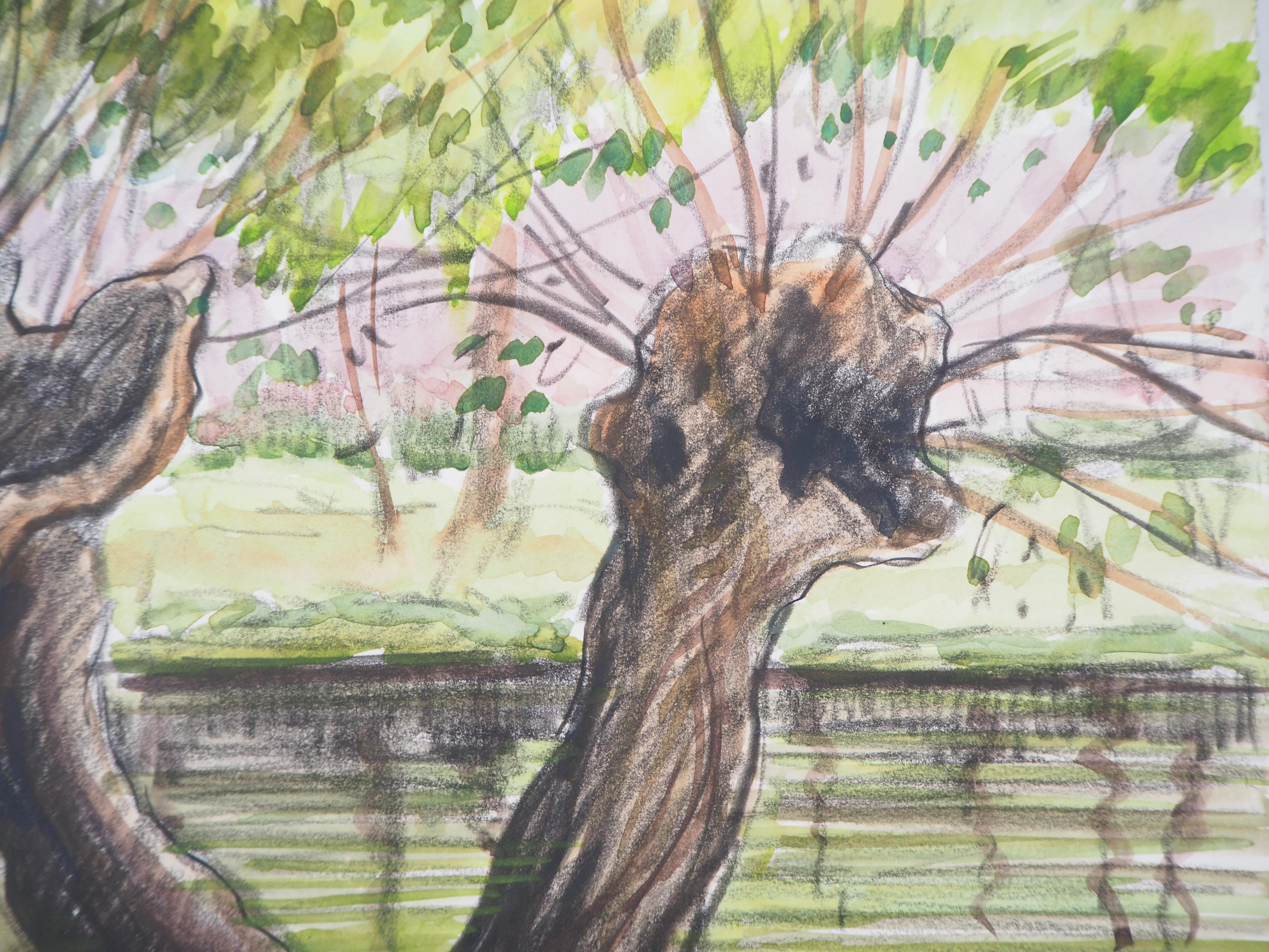 Old Trees near a Canal - Original watercolor painting - Signed - Beige Landscape Art by Paul Emile Pissarro
