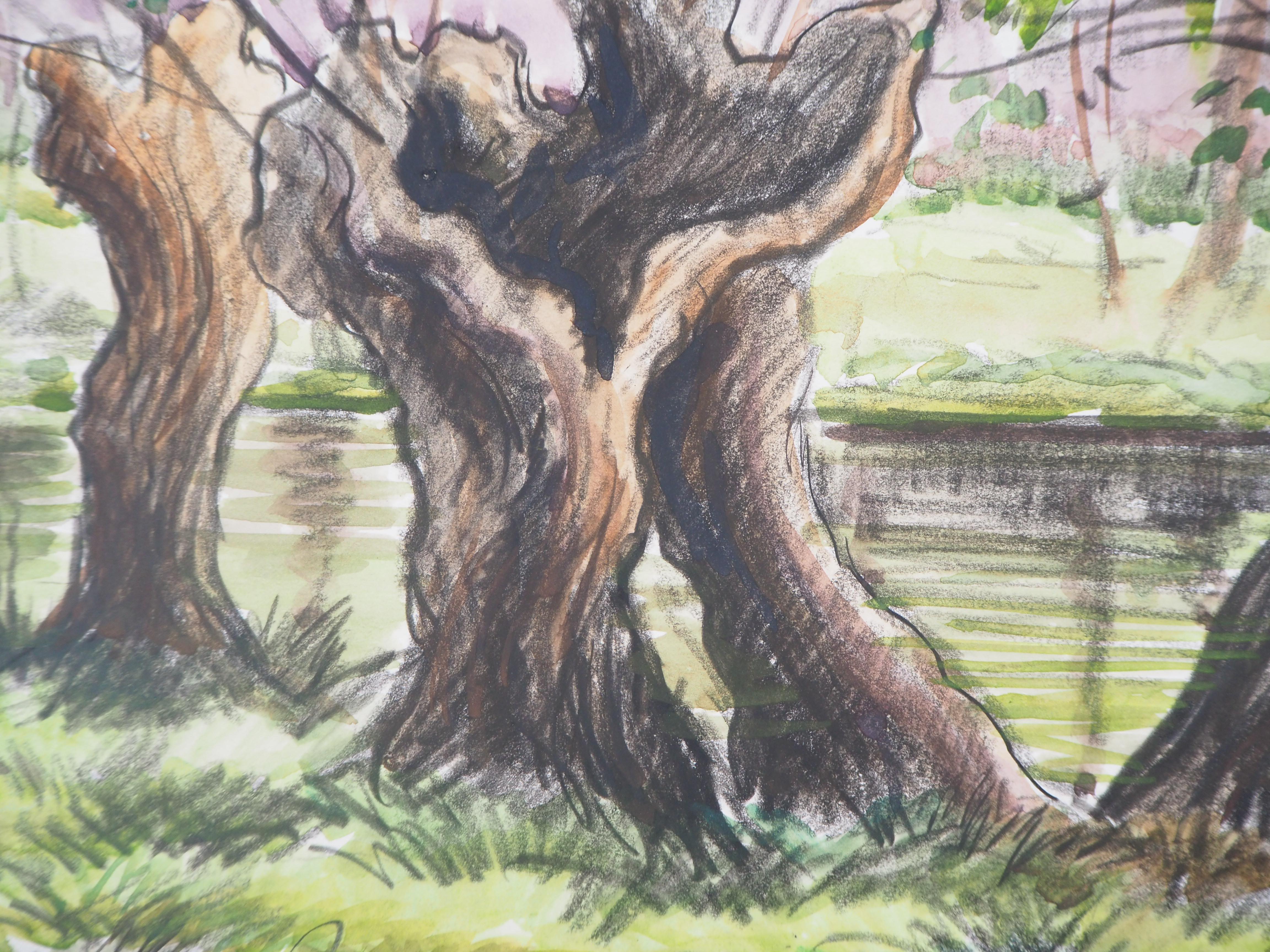 Paul Emile PISSARRO (1884-1972)
Old Trees near a Canal, c. 1940

Original watercolor and charcoals painting
Handsigned in the lower left corner
On vellum 25 x 32 cm (c. 10 x 13 in)

Very good condition