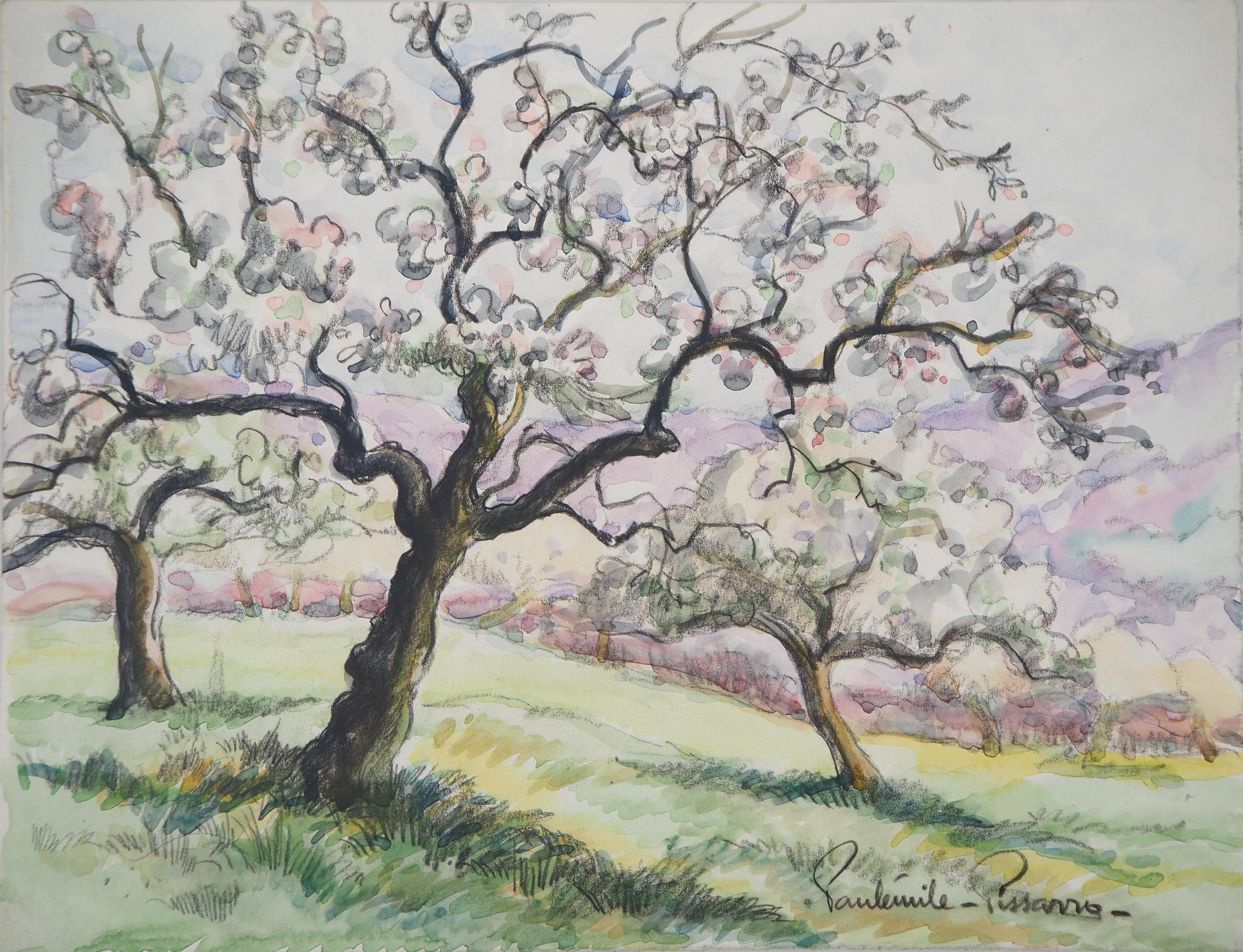 Paul Emile Pissarro Landscape Art - Normandy : Apple Trees in Blossom - Original watercolor painting - Signed