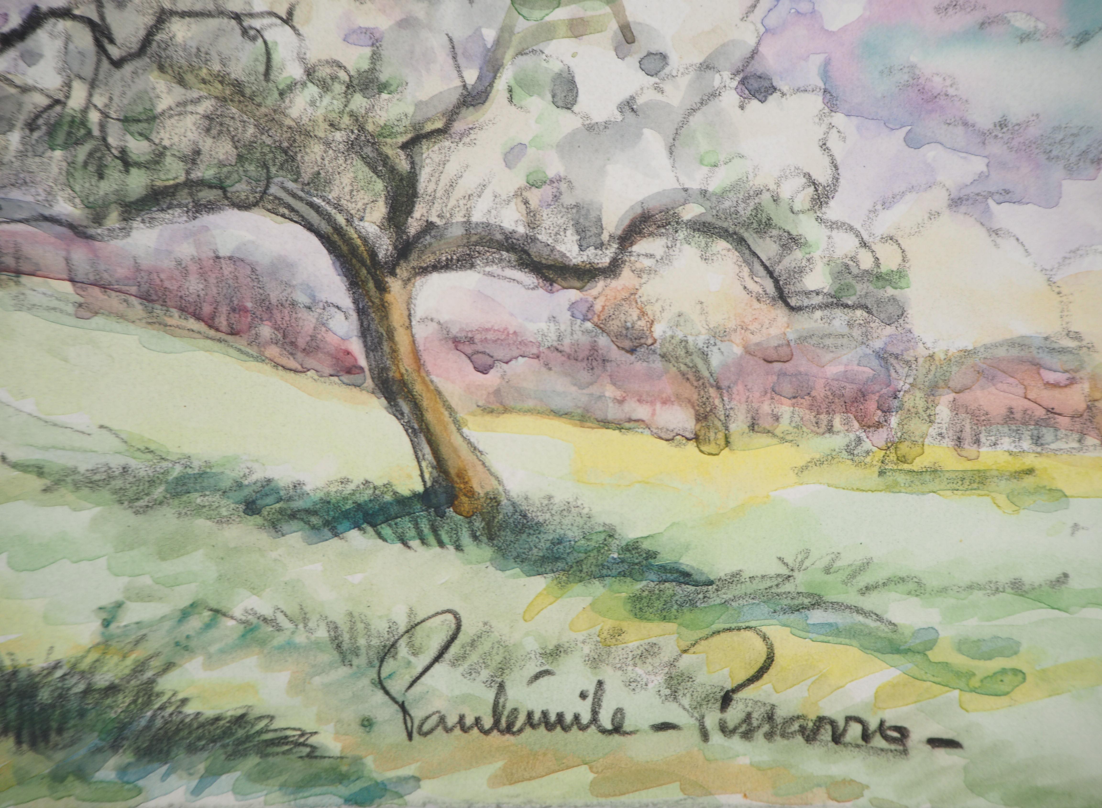 Normandy : Apple Trees in Blossom - Original watercolor painting - Signed - Art by Paul Emile Pissarro