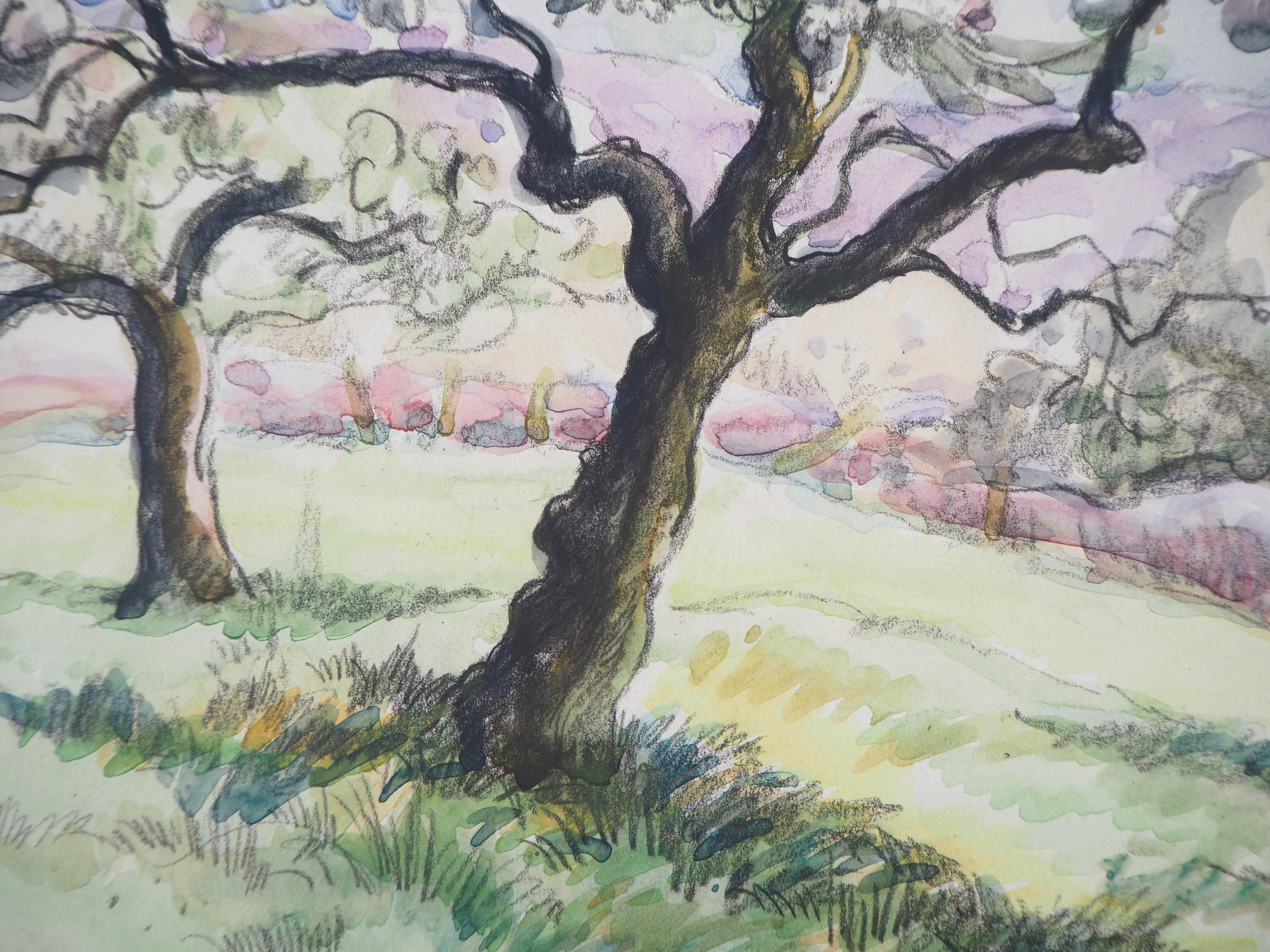 Normandy : Apple Trees in Blossom - Original watercolor painting - Signed - Gray Landscape Art by Paul Emile Pissarro