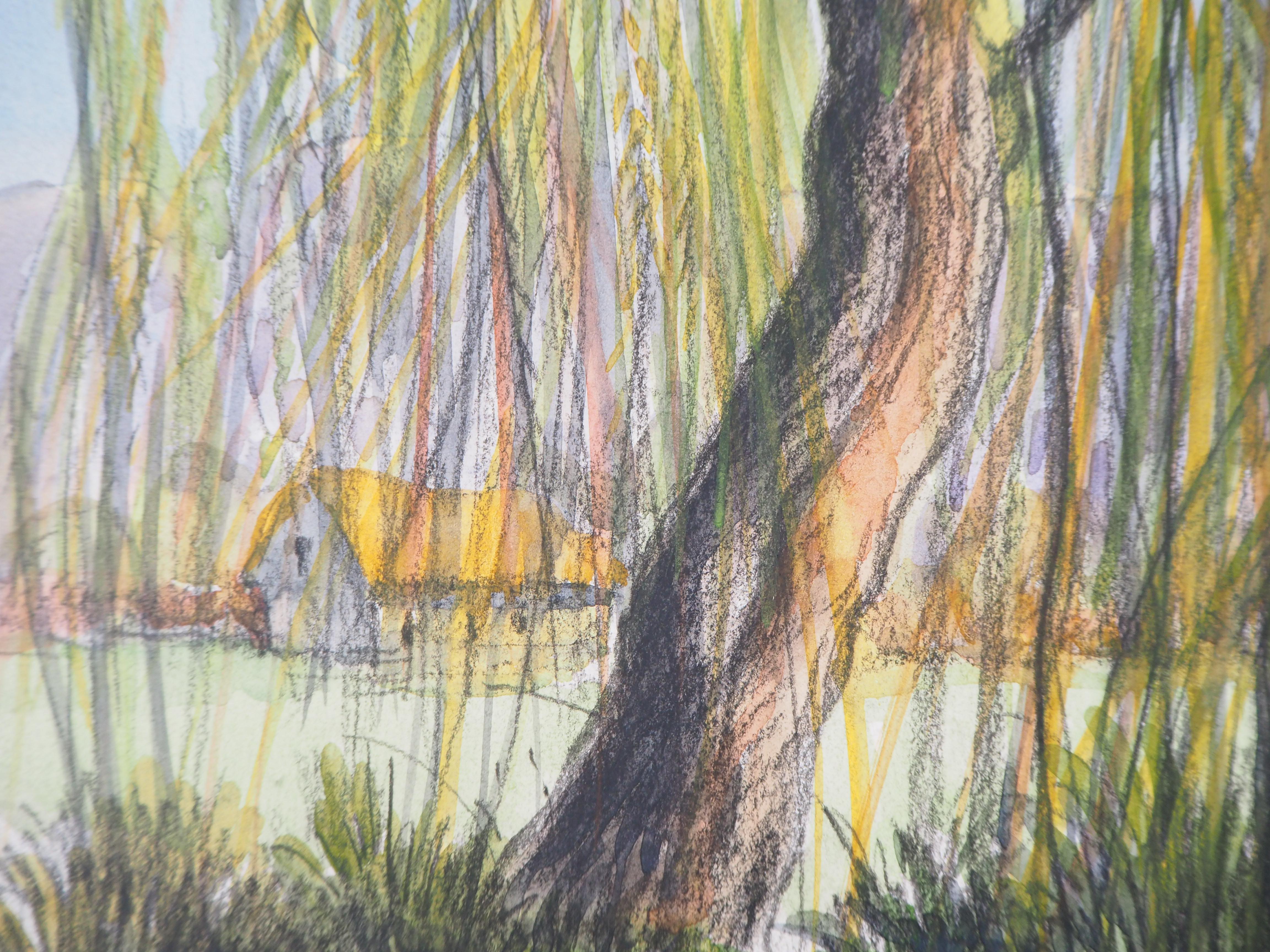 watercolor willow tree